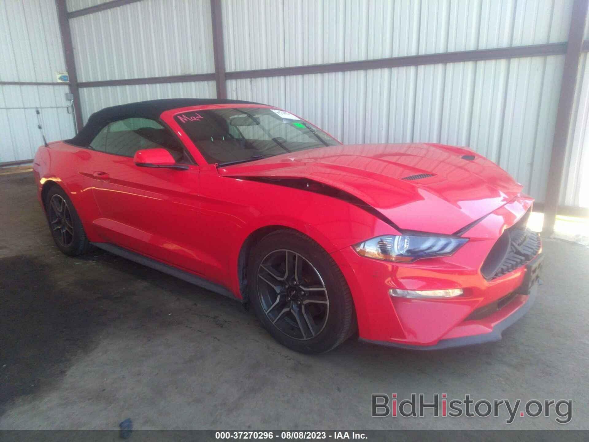 Photo 1FATP8UH3K5181730 - FORD MUSTANG 2019