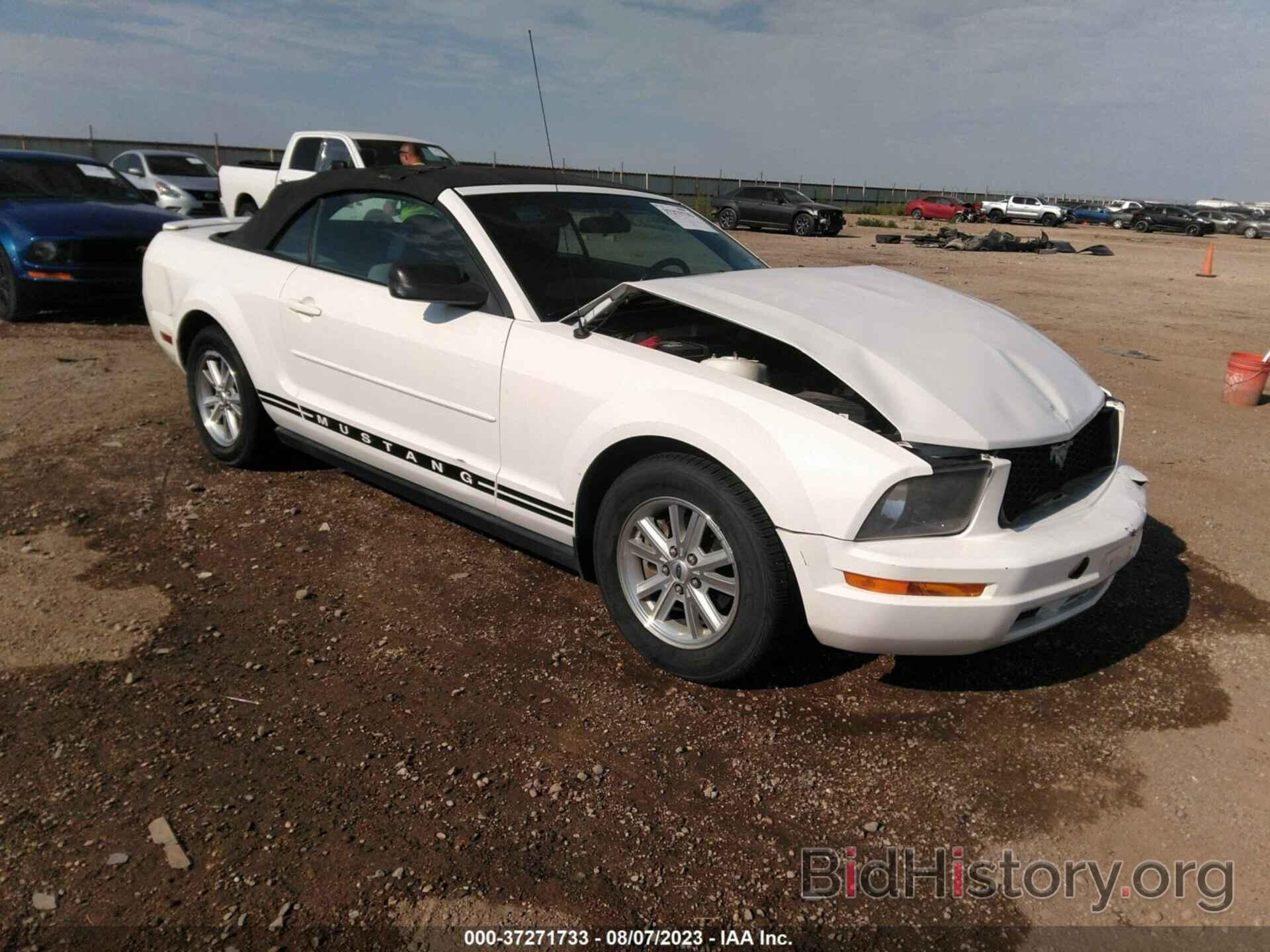 Photo 1ZVFT84N775201278 - FORD MUSTANG 2007