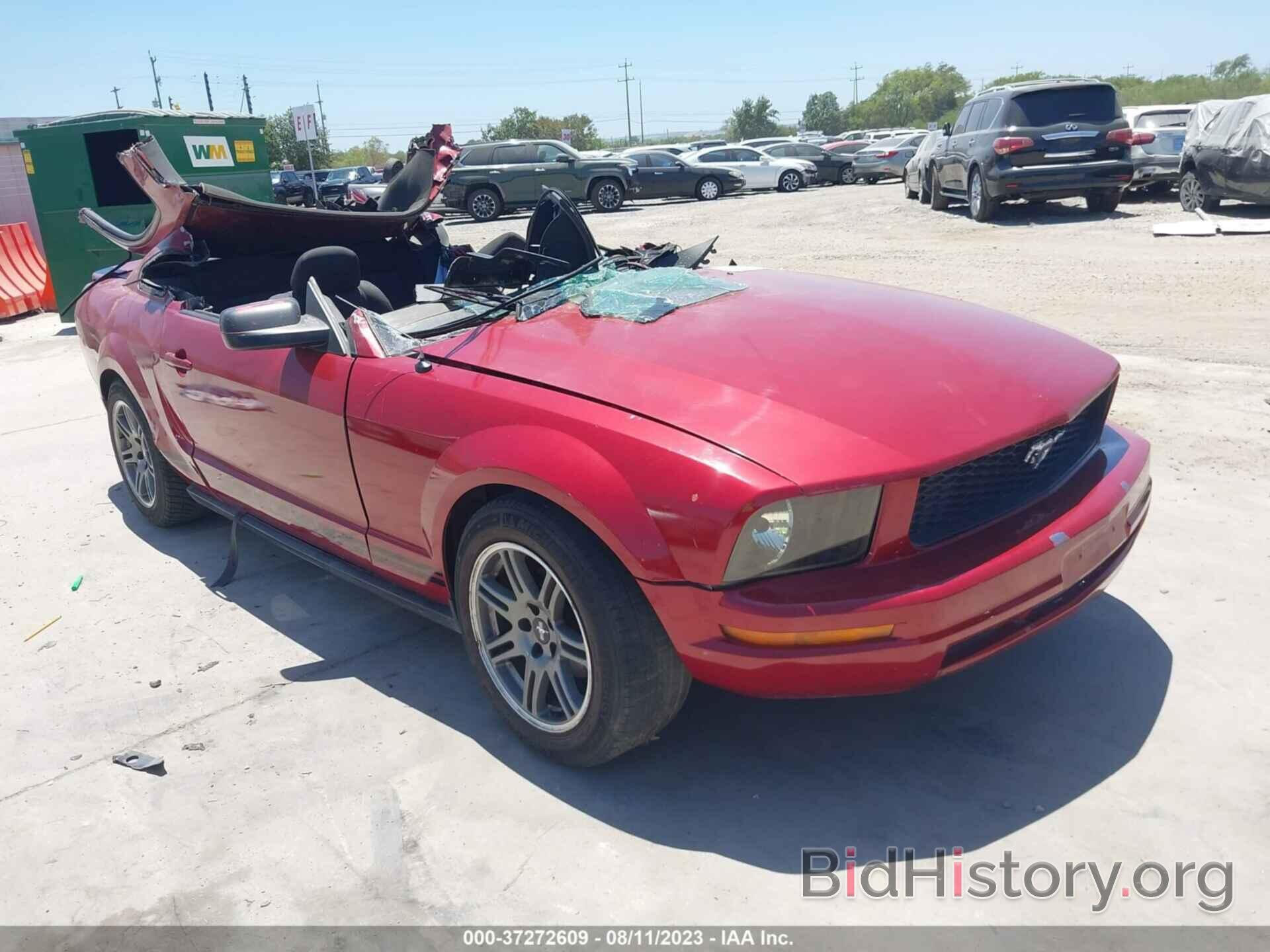Photo 1ZVHT80N685103147 - FORD MUSTANG 2008