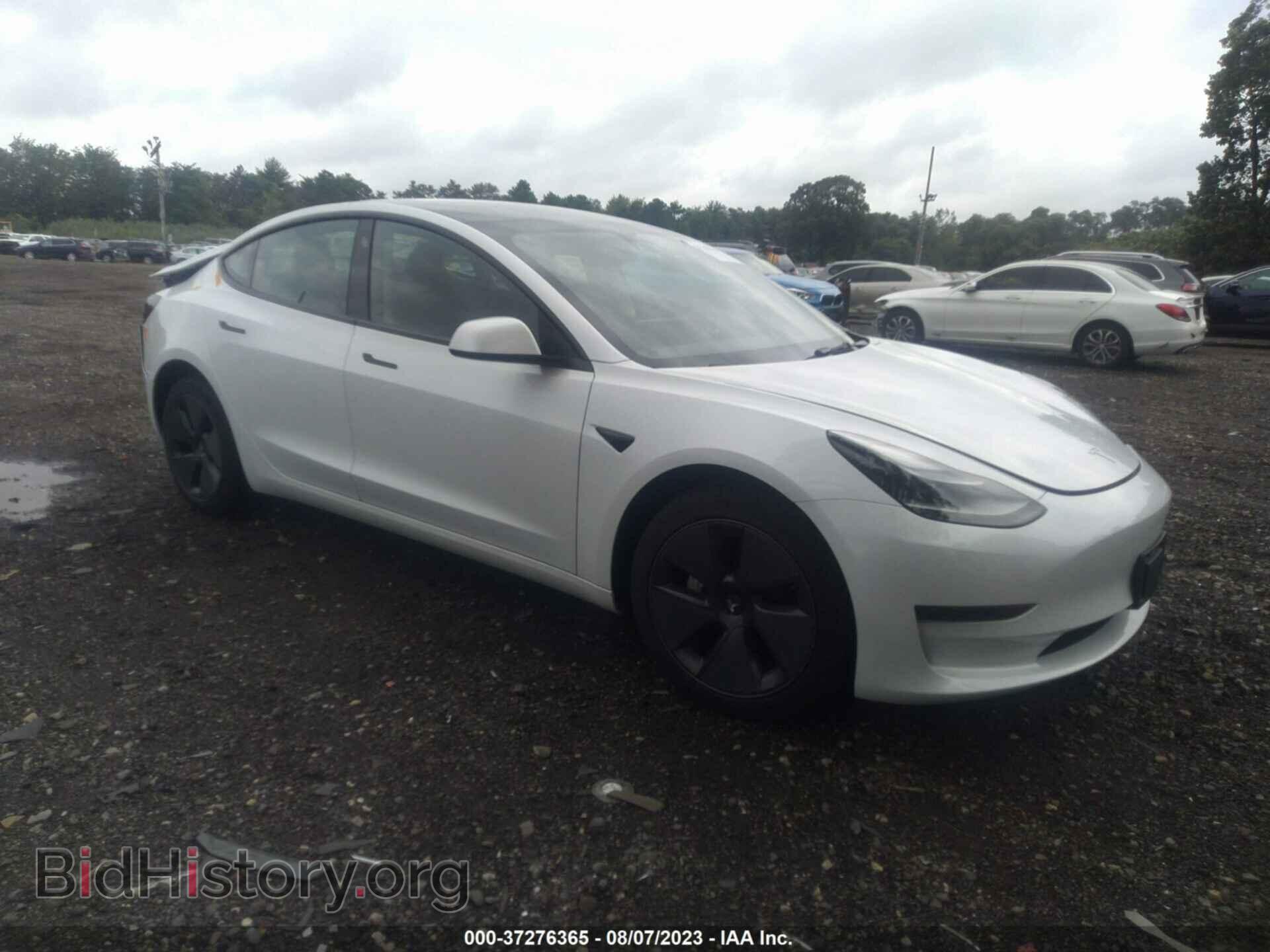 Фотография 5YJ3E1EA6PF425546 - TESLA MODEL 3 2023