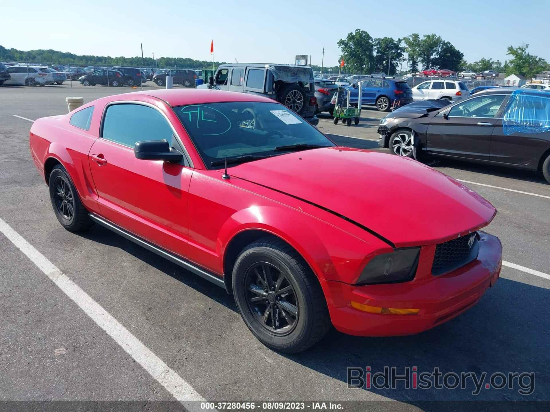Photo 1ZVHT80N185125069 - FORD MUSTANG 2008