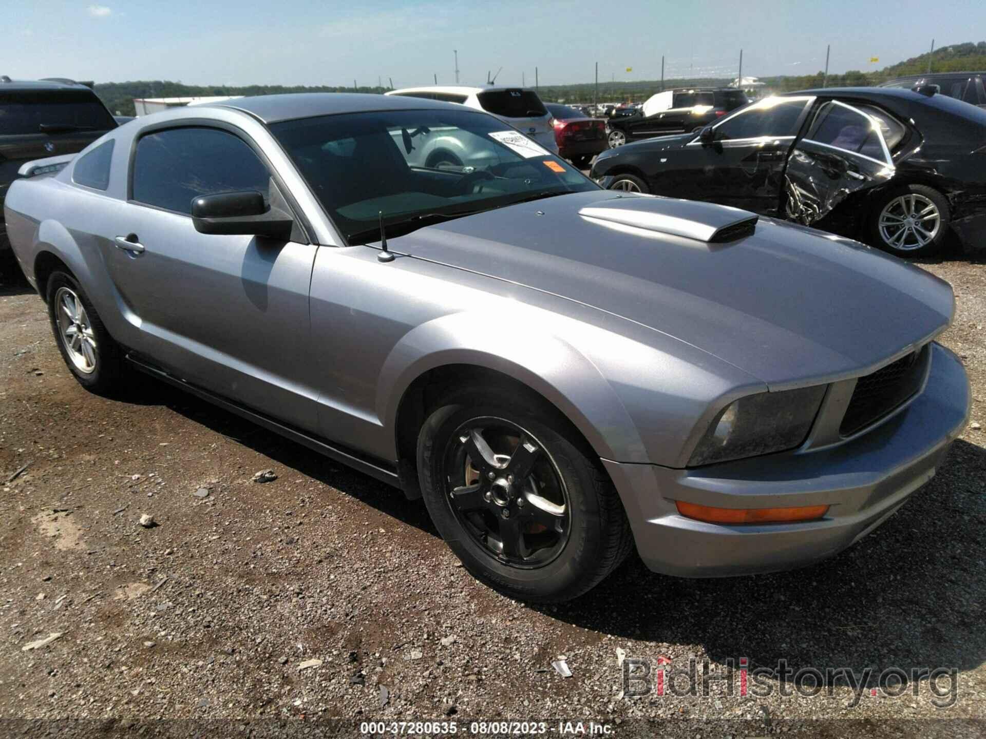 Photo 1ZVFT80N265158277 - FORD MUSTANG 2006