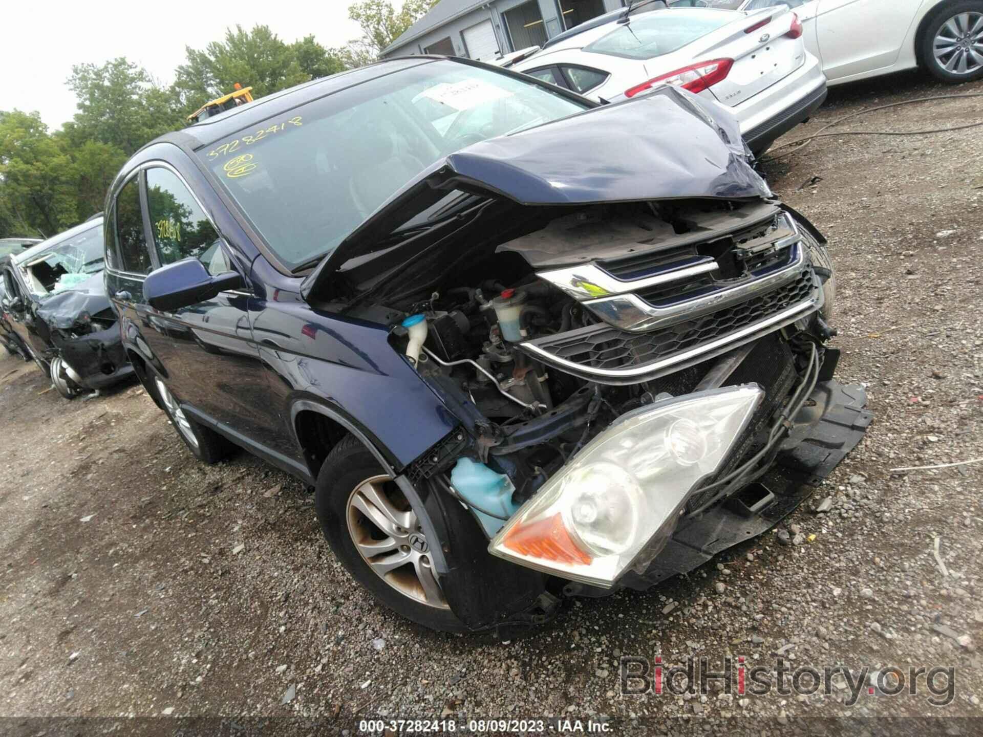 Photo 5J6RE4H71AL046562 - HONDA CR-V 2010