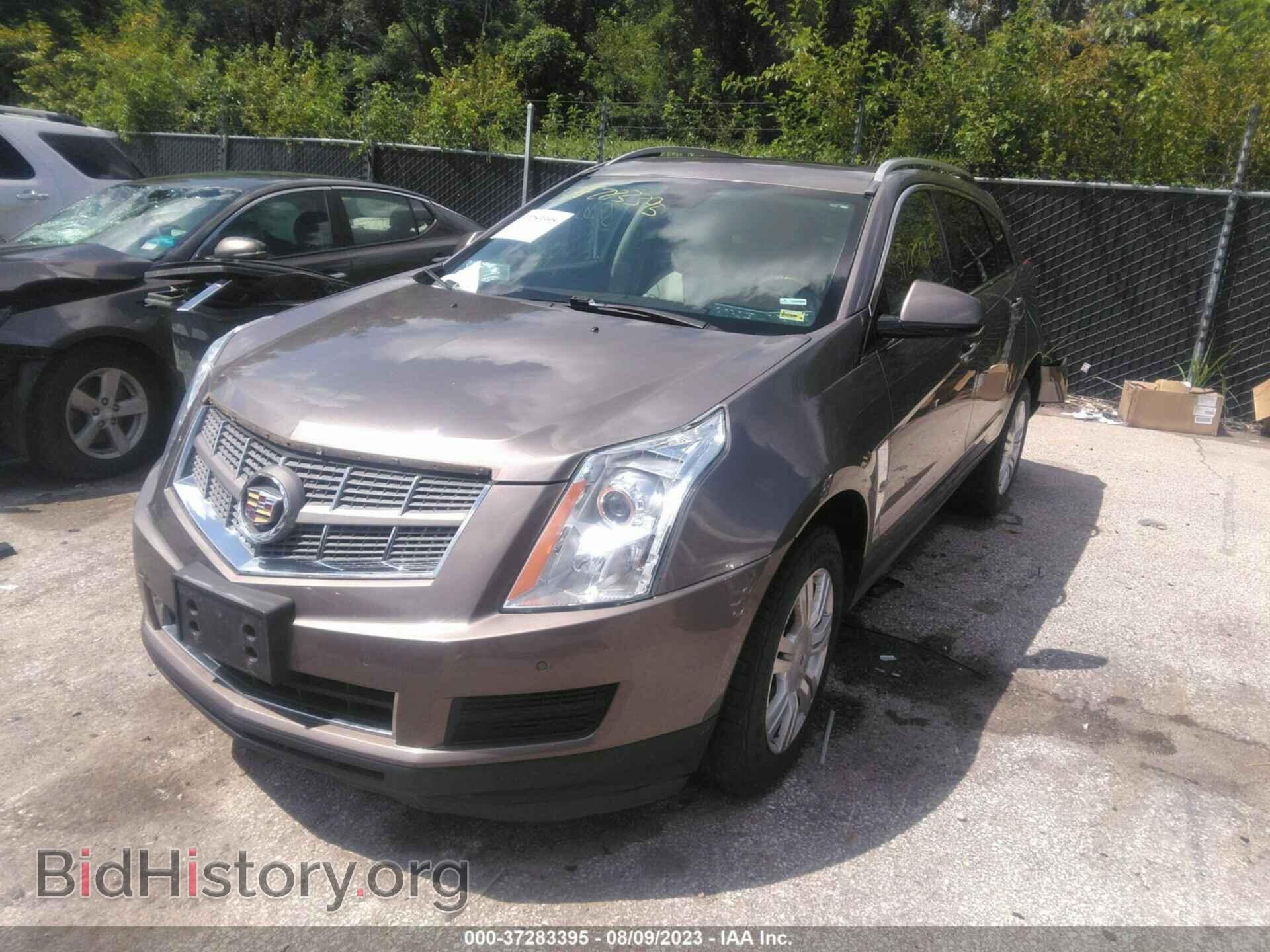 2011 CADILLAC SRX - VIN: 3GYFNDEY1BS520862 - Фото 2
