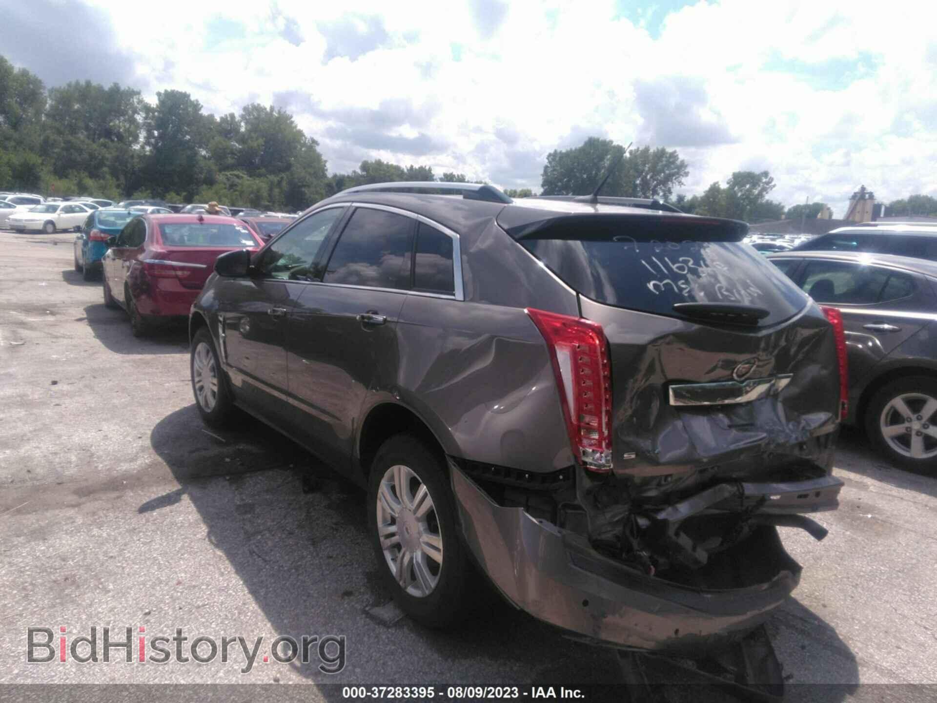 2011 CADILLAC SRX - VIN: 3GYFNDEY1BS520862 - Фото 3