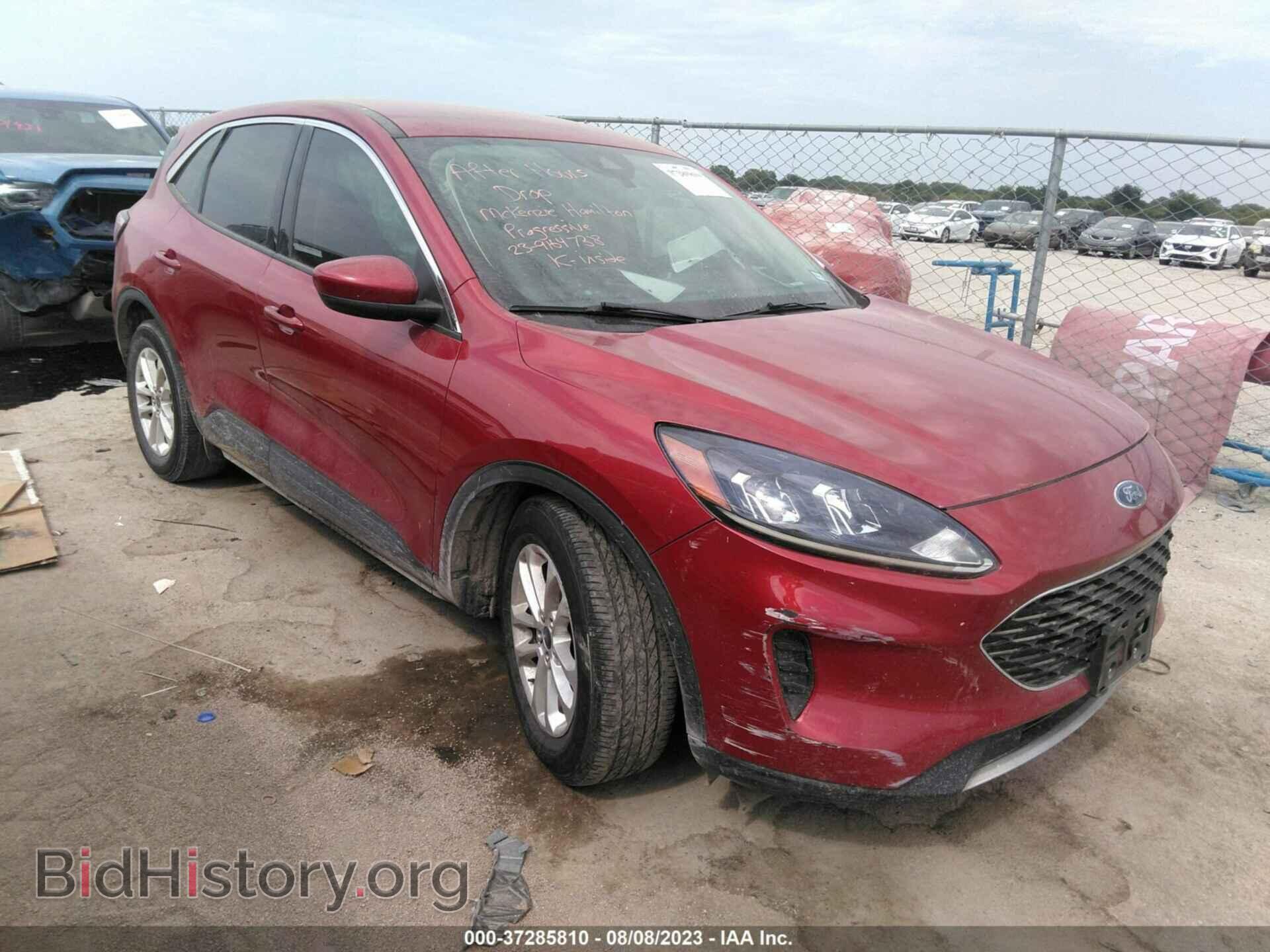 Photo 1FMCU0G64LUB30254 - FORD ESCAPE 2020