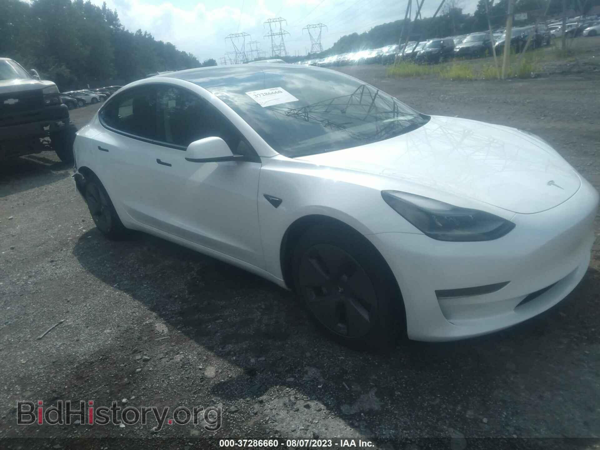 Photo 5YJ3E1EA6PF478022 - TESLA MODEL 3 2023