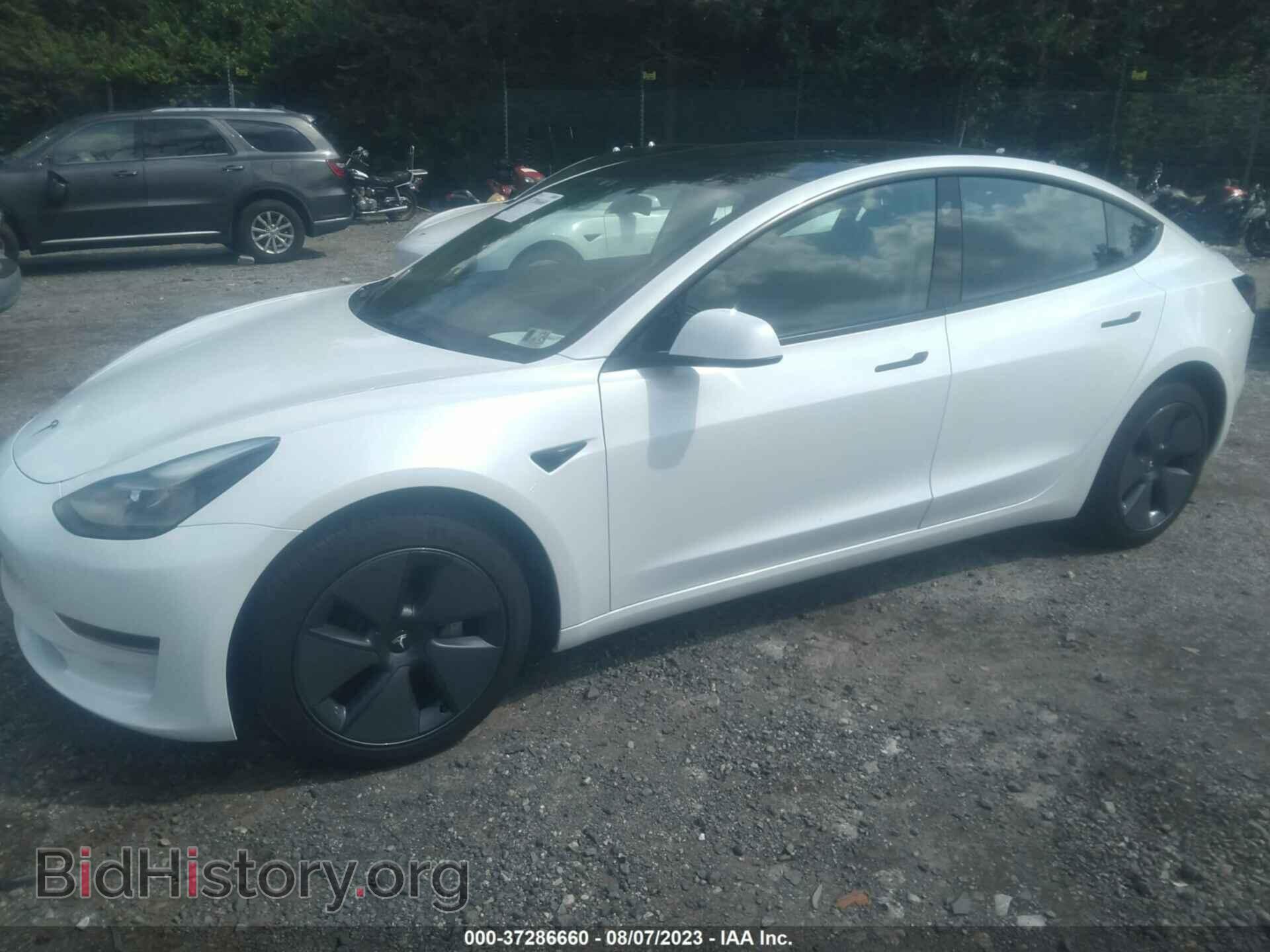 2023 TESLA MODEL 3 - VIN: 5YJ3E1EA6PF478022 - Photo 2