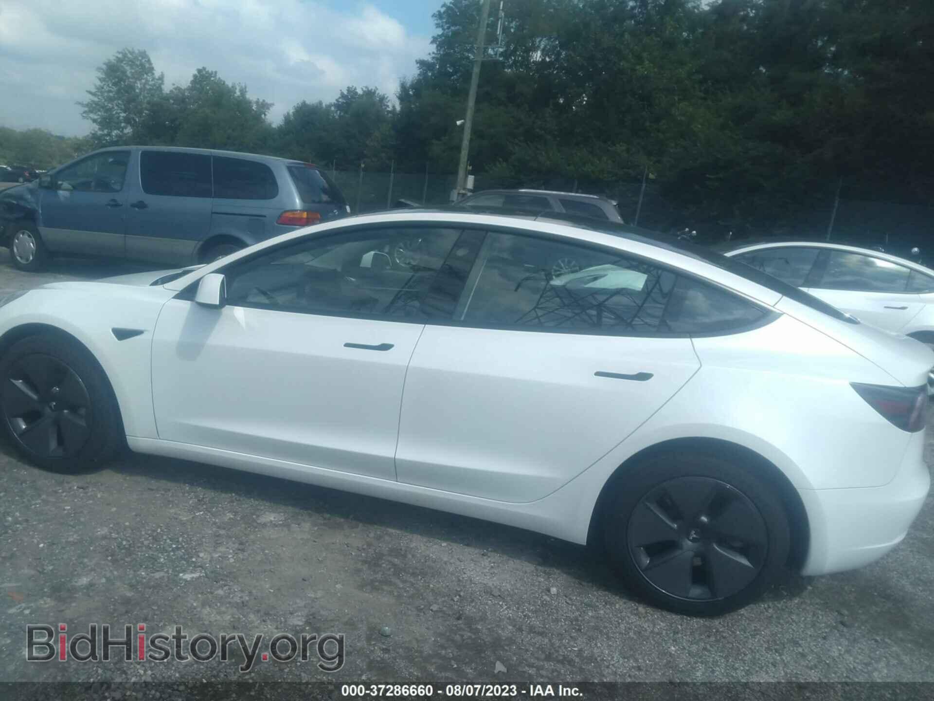 2023 TESLA MODEL 3 - VIN: 5YJ3E1EA6PF478022 - Photo 13