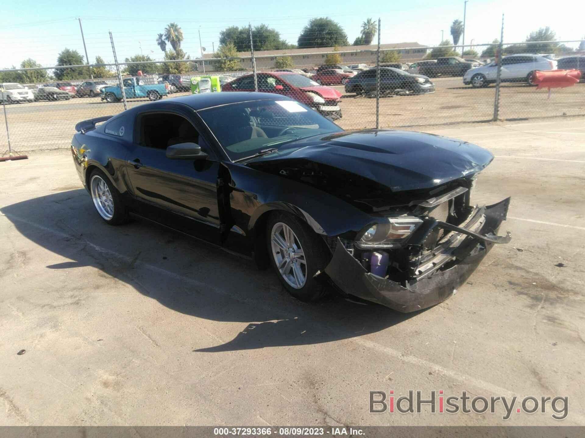 Photo 1ZVBP8AM4C5279154 - FORD MUSTANG 2012
