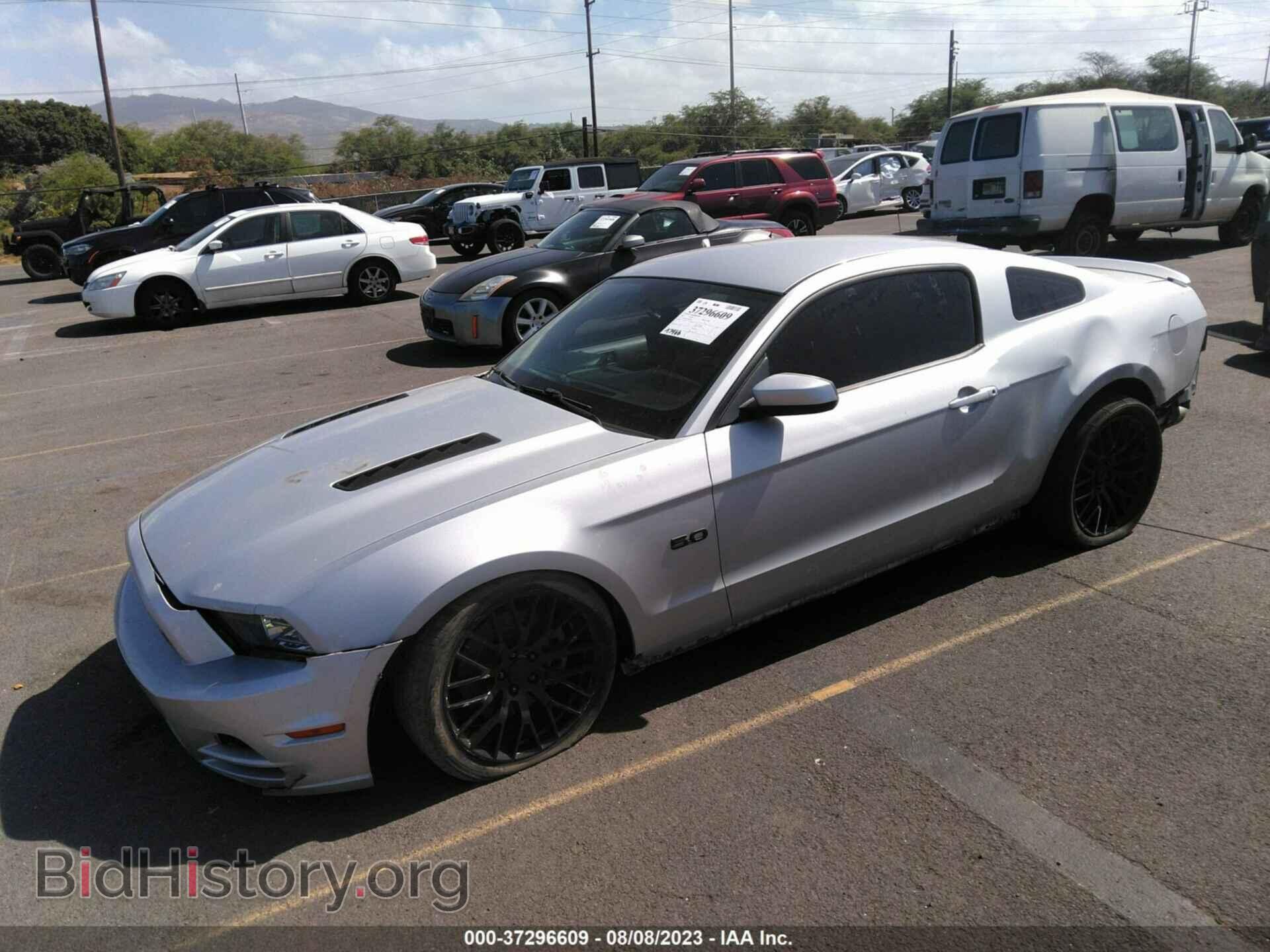 2013 FORD MUSTANG - VIN: 1ZVBP8CF1D5255636 - Фото 2