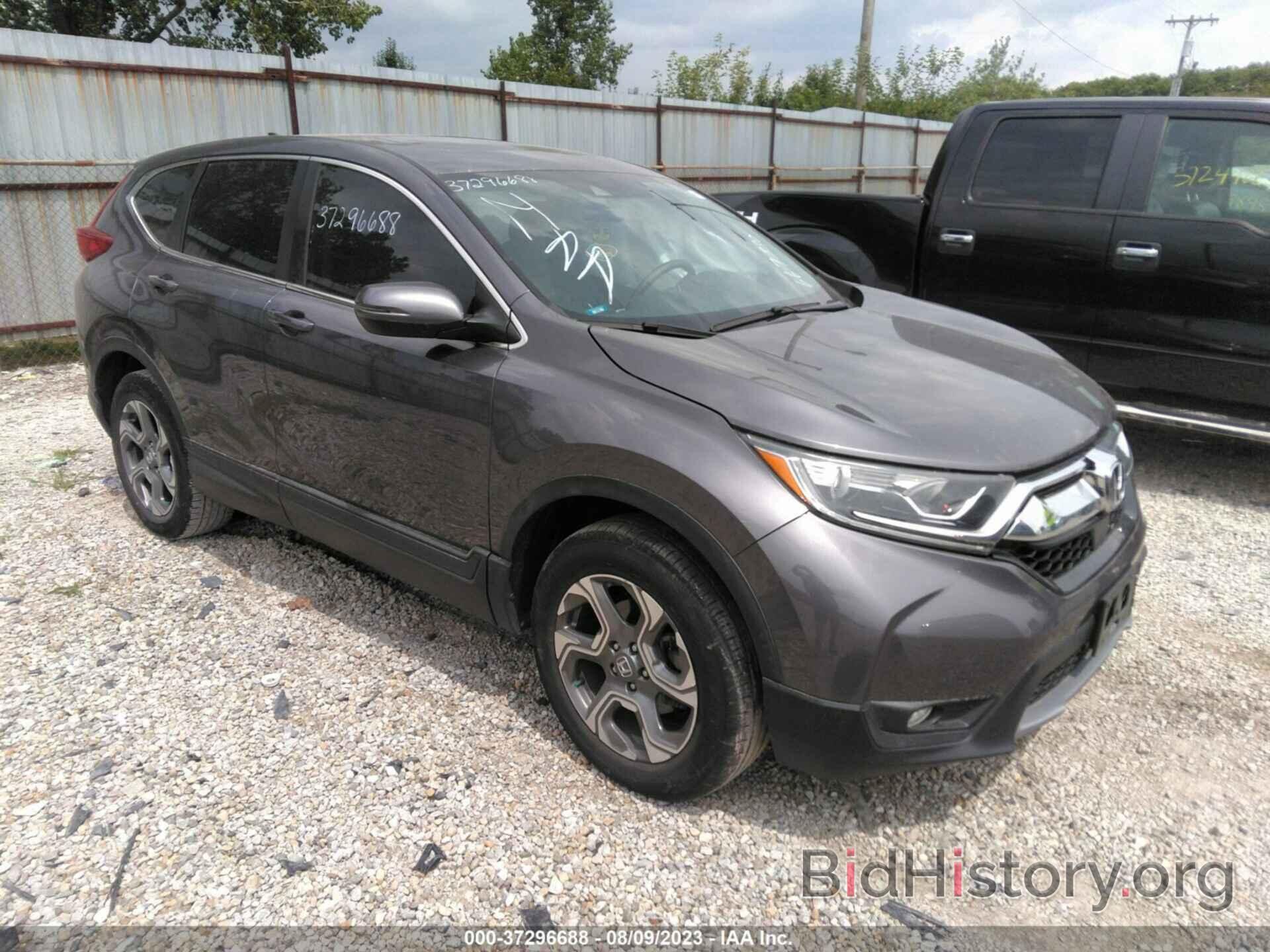 Photo 2HKRW2H51KH667330 - HONDA CR-V 2019