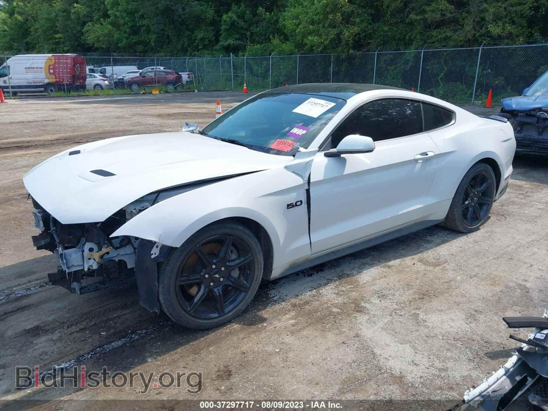 2019 FORD MUSTANG - VIN: 1FA6P8CF6K5186661 - Фото 2
