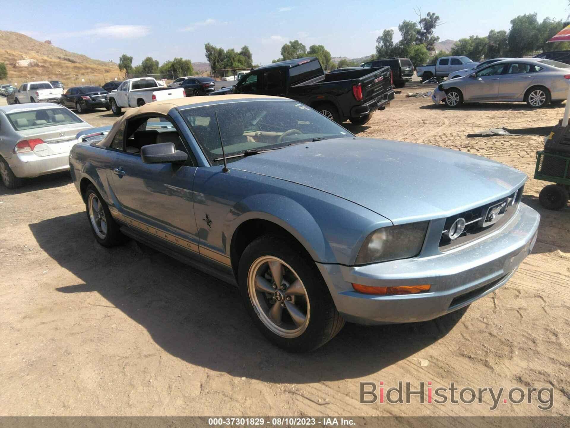 Photo 1ZVHT84N265192738 - FORD MUSTANG 2006