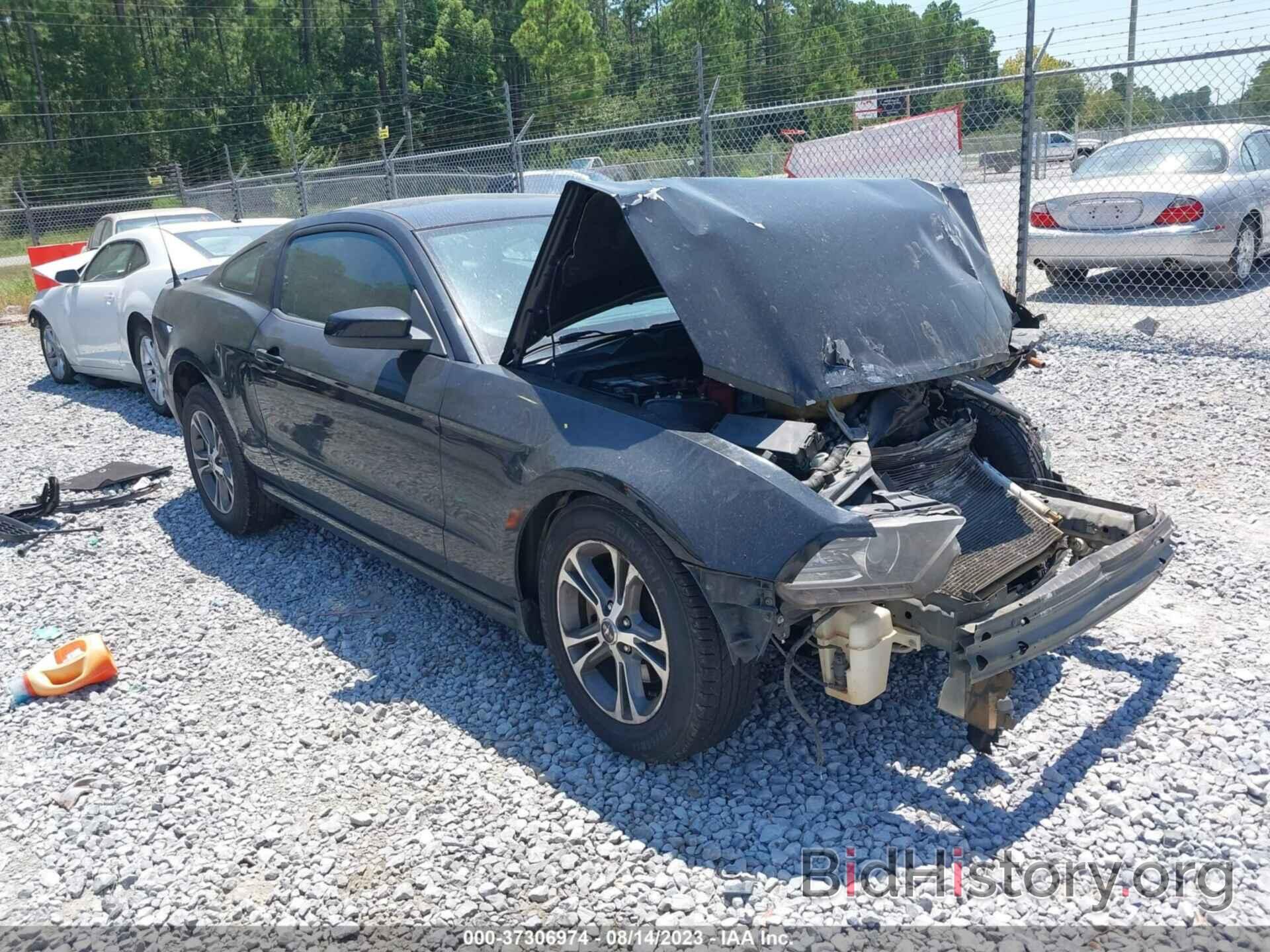 Photo 1ZVBP8AM5E5269252 - FORD MUSTANG 2014