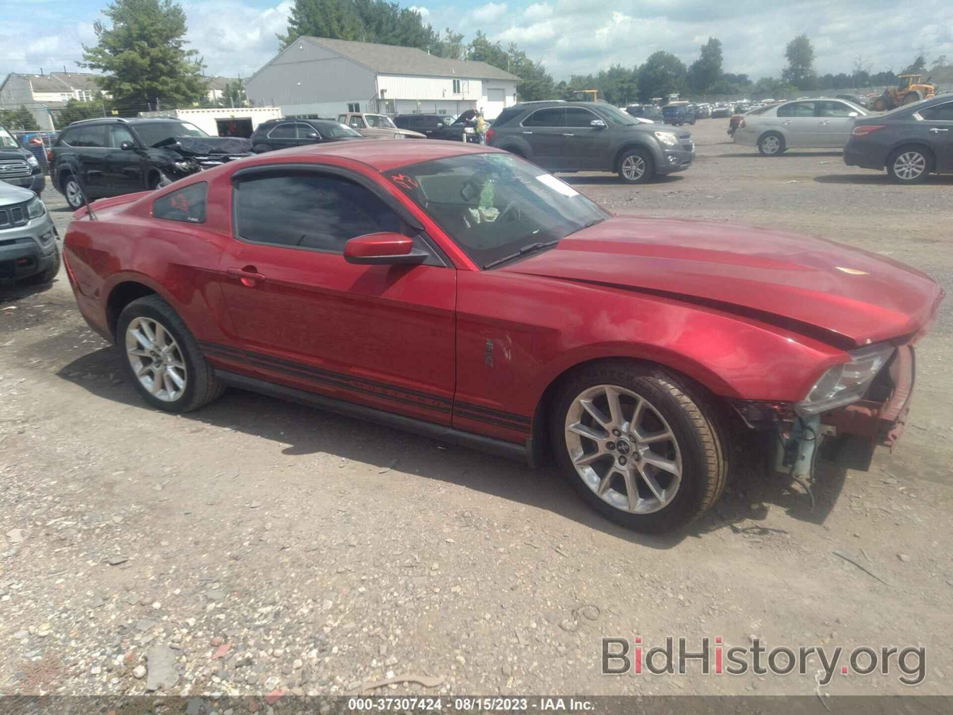 Photo 1ZVBP8AN1A5123224 - FORD MUSTANG 2010