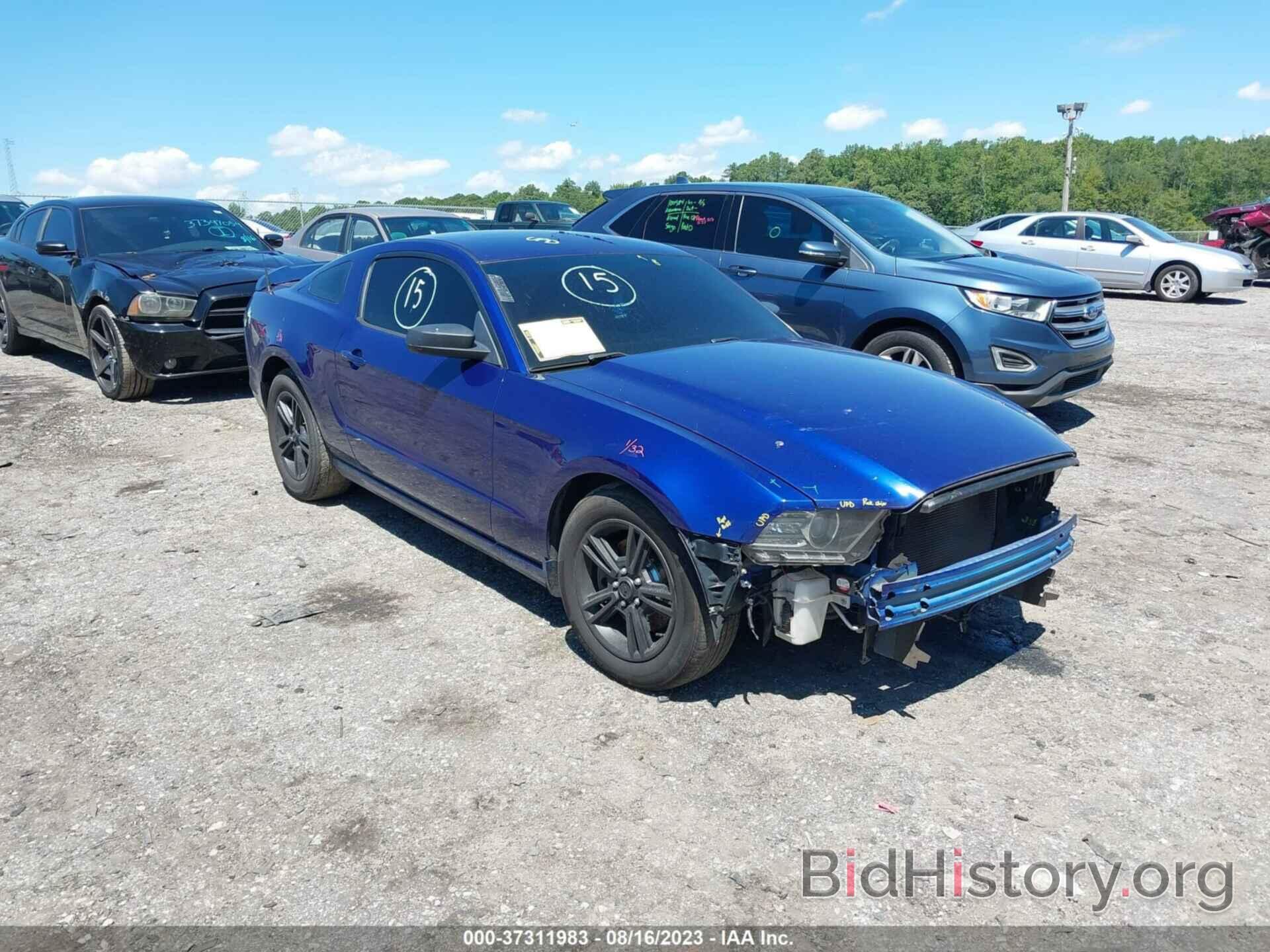 Photo 1ZVBP8AM9E5314726 - FORD MUSTANG 2014