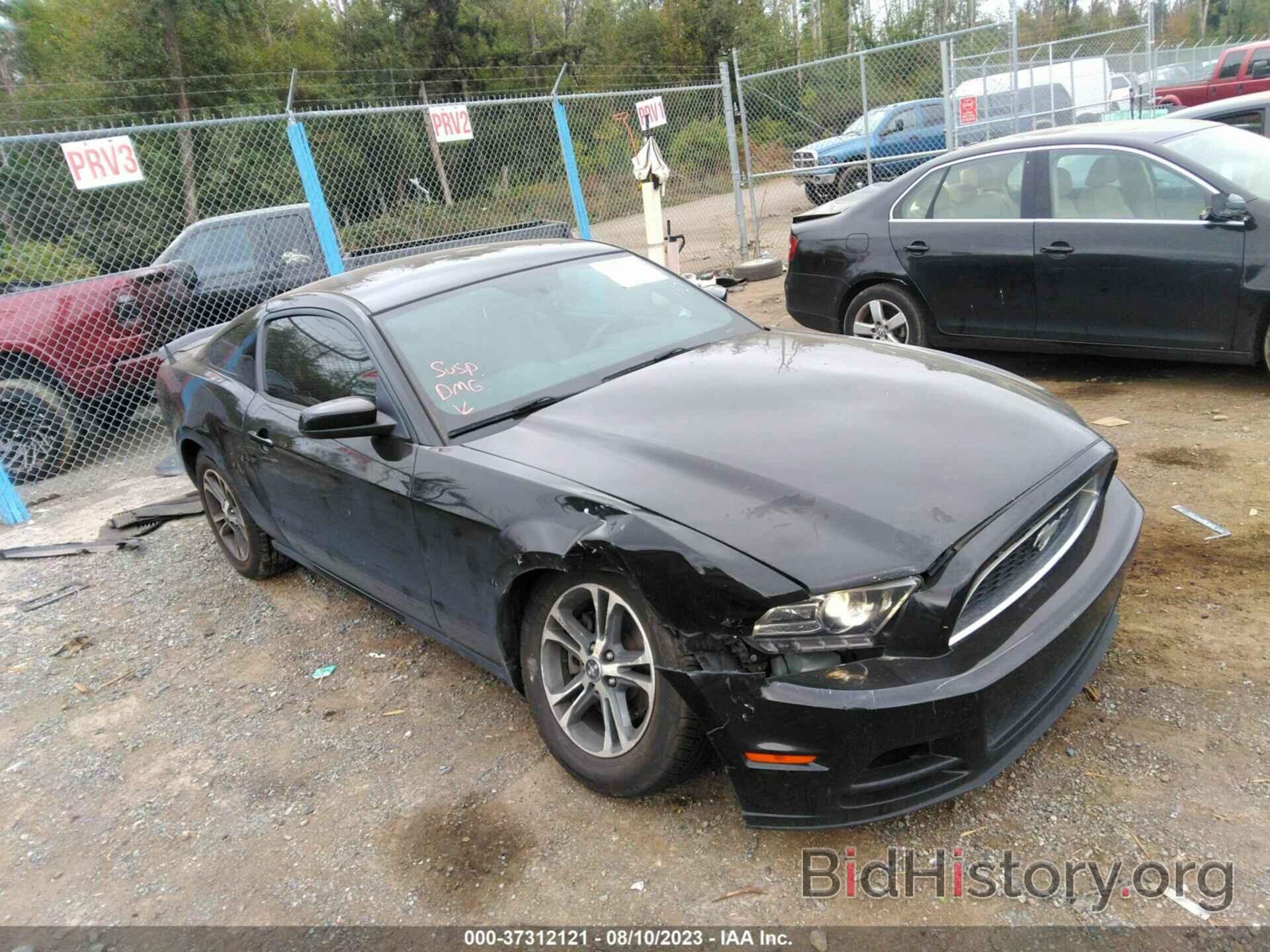 Фотография 1ZVBP8AM7E5264490 - FORD MUSTANG 2014