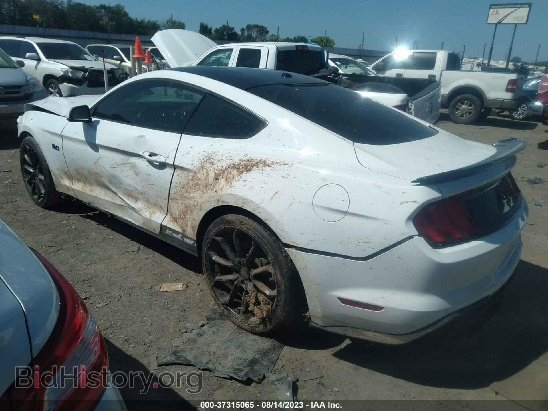 2019 FORD MUSTANG - VIN: 1FA6P8CF1K5116808 - Фото 3