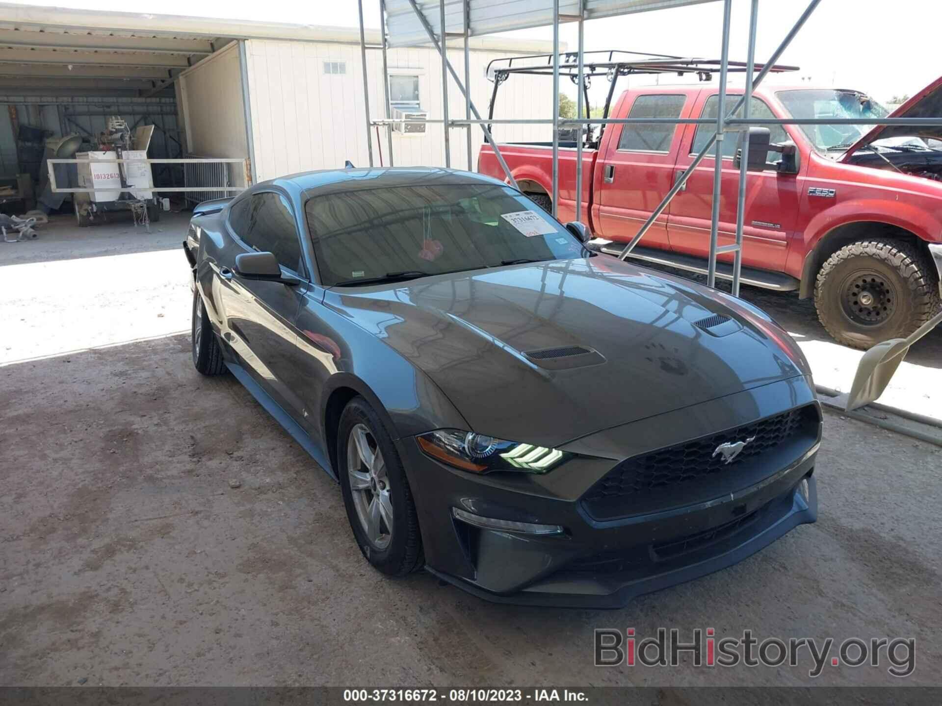 Photo 1FA6P8TH1L5184125 - FORD MUSTANG 2020
