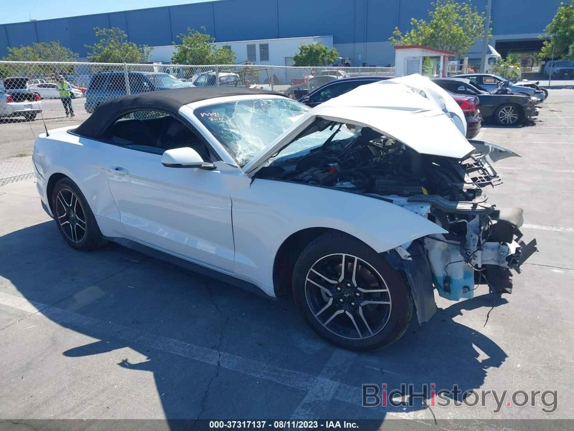 Photo 1FATP8UHXK5170093 - FORD MUSTANG 2019