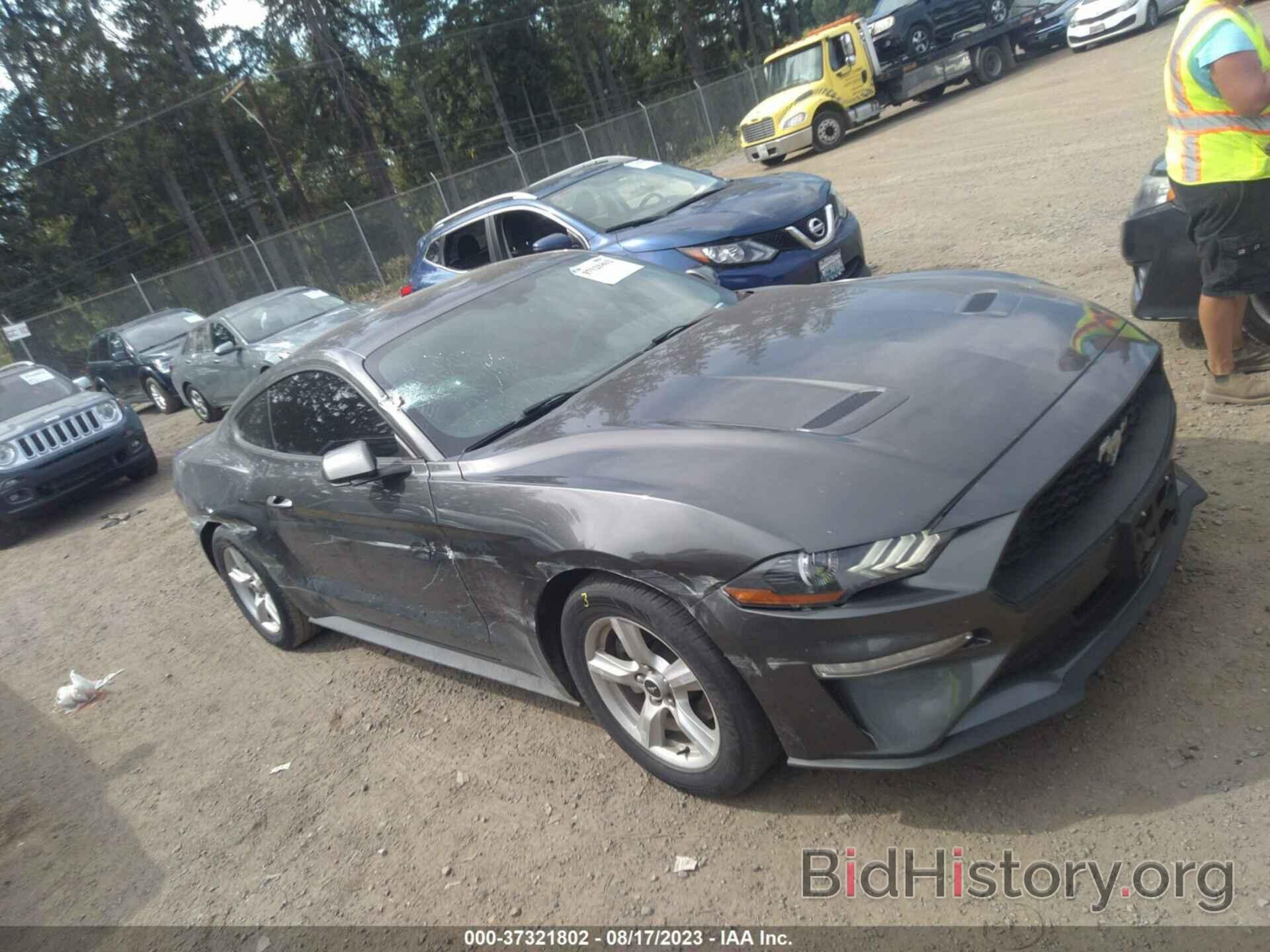 Photo 1FA6P8TH5K5144080 - FORD MUSTANG 2019