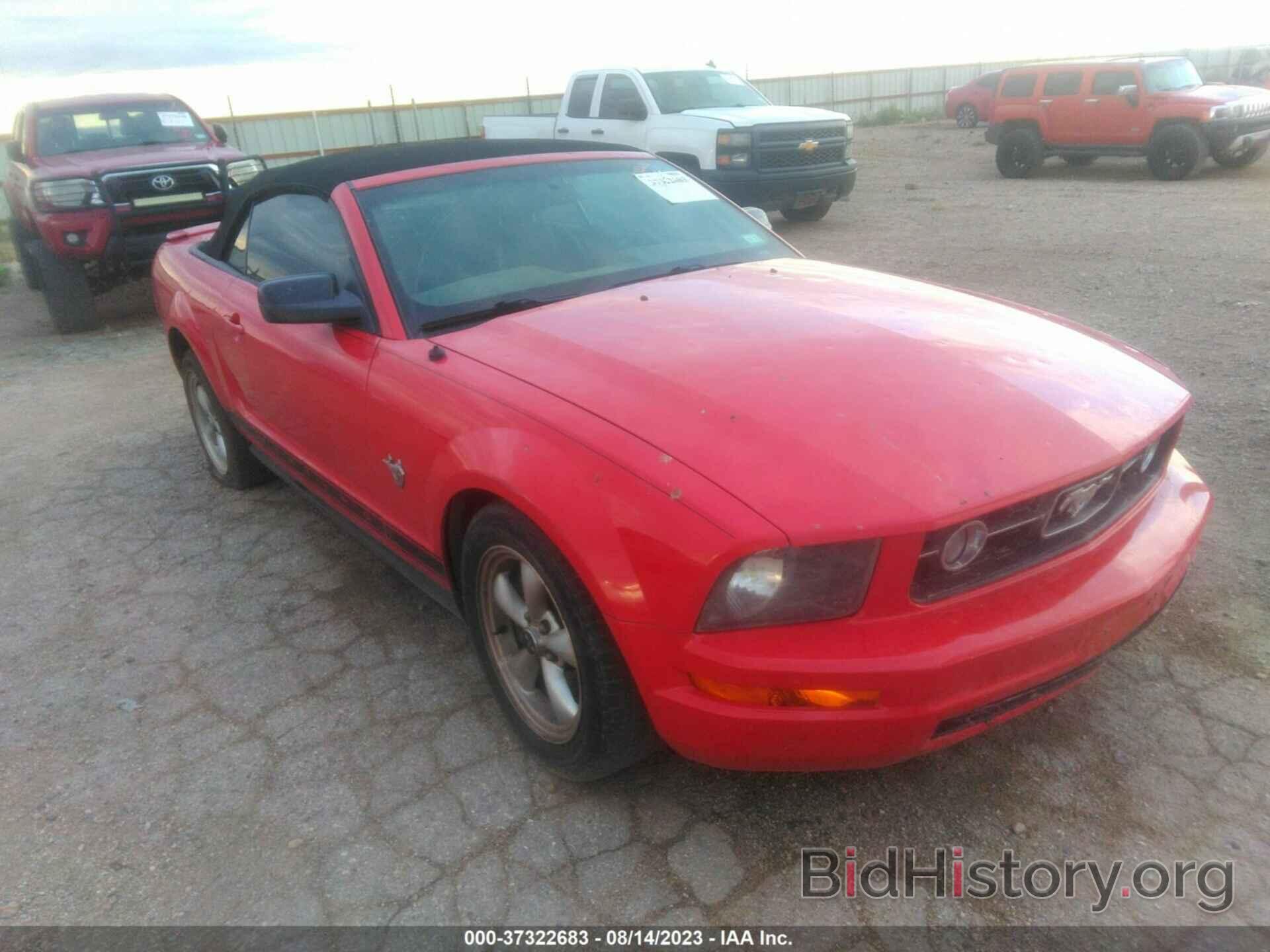 Photo 1ZVHT84N695141912 - FORD MUSTANG 2009