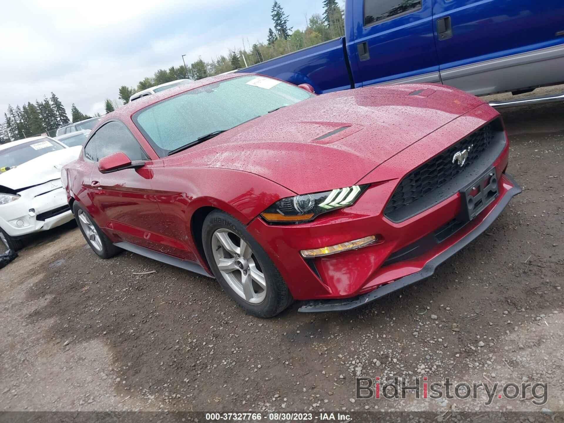 Photo 1FA6P8TH1K5186231 - FORD MUSTANG 2019