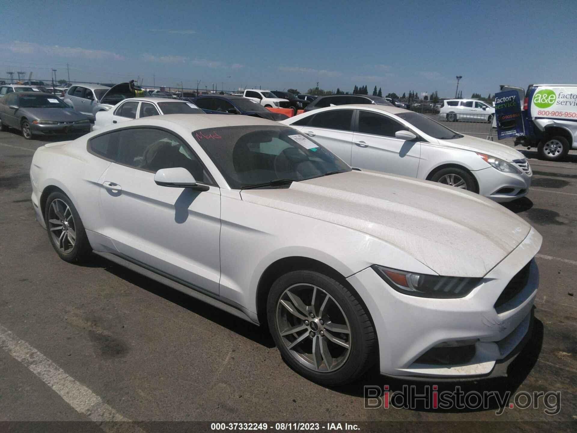 Photo 1FA6P8TH4F5356541 - FORD MUSTANG 2015