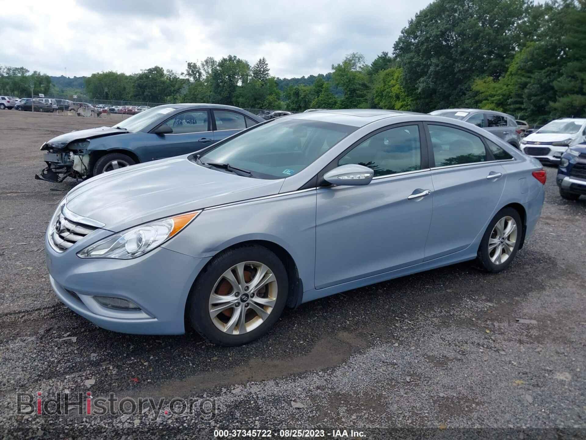 2013 HYUNDAI SONATA - VIN: 5NPEC4AC4DH578656 - Фото 2