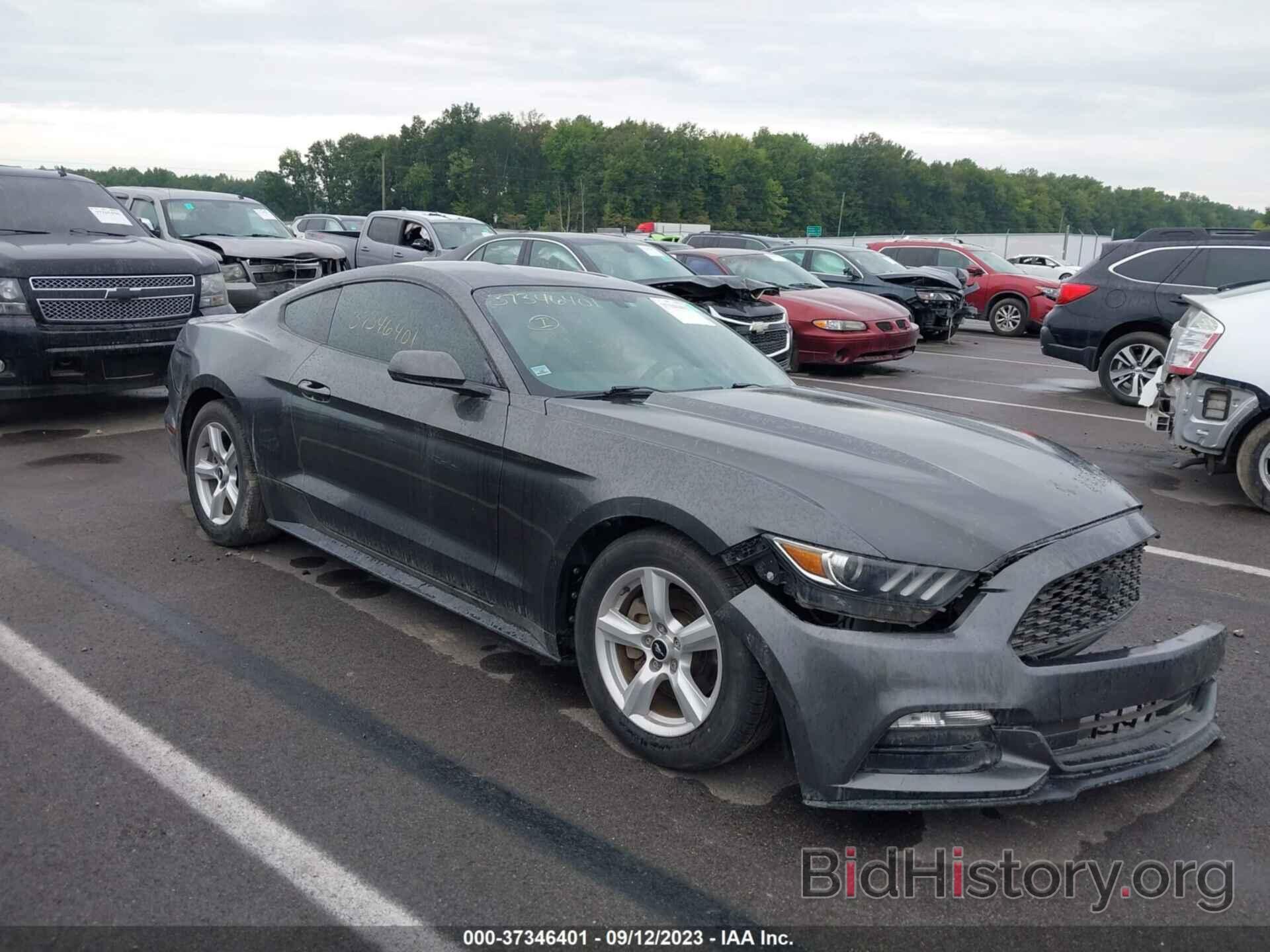 Photo 1FA6P8AMXH5207957 - FORD MUSTANG 2017