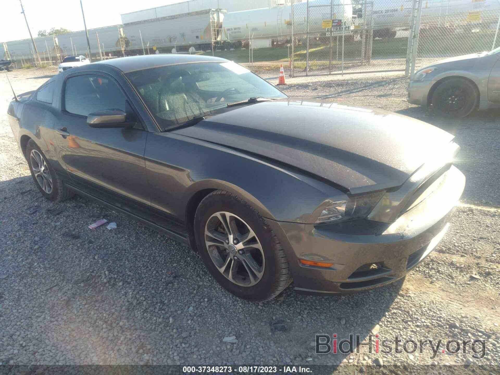 Photo 1ZVBP8AM1E5334050 - FORD MUSTANG 2014