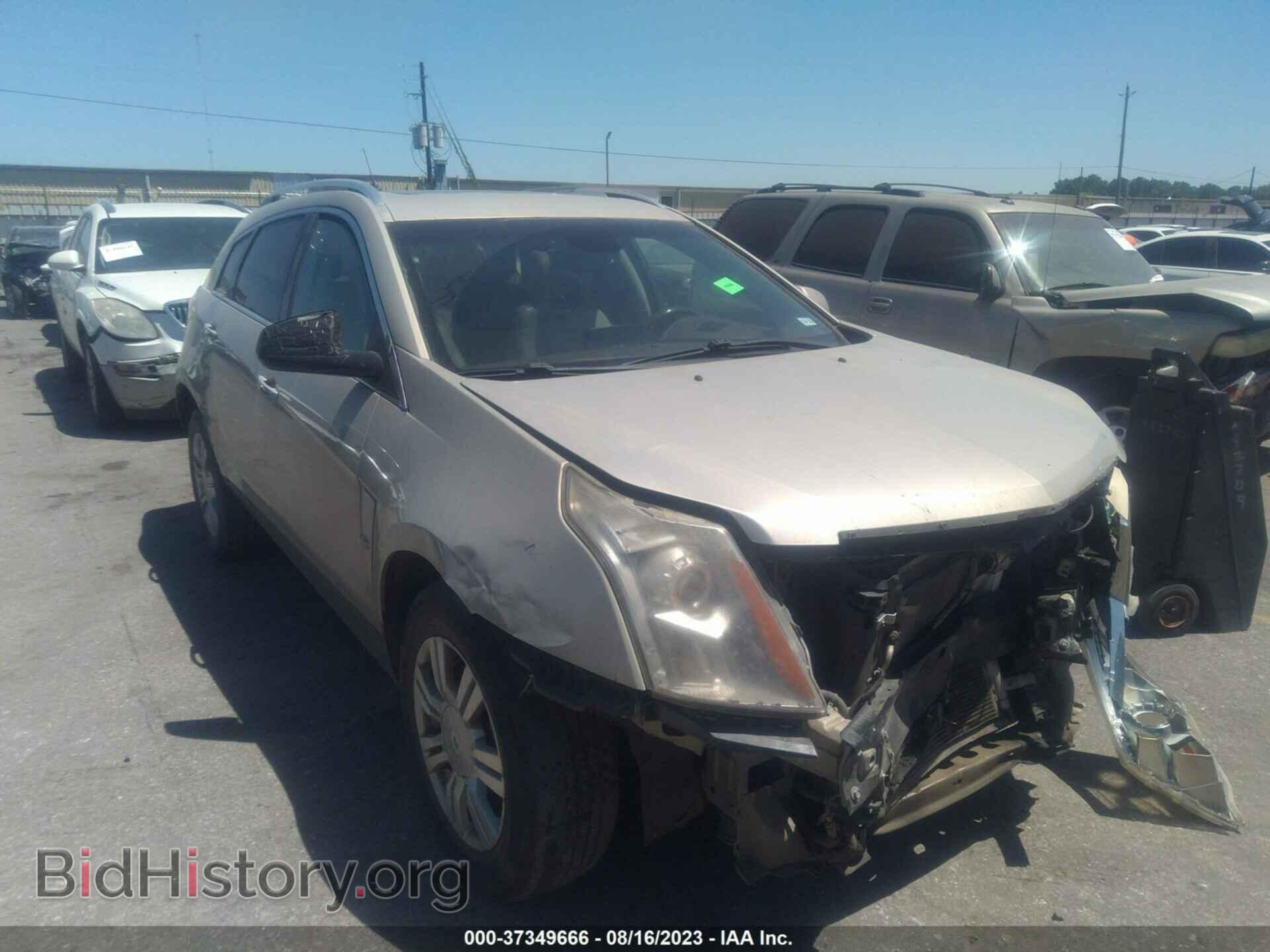 Фотография 3GYFNAE38CS511502 - CADILLAC SRX 2012