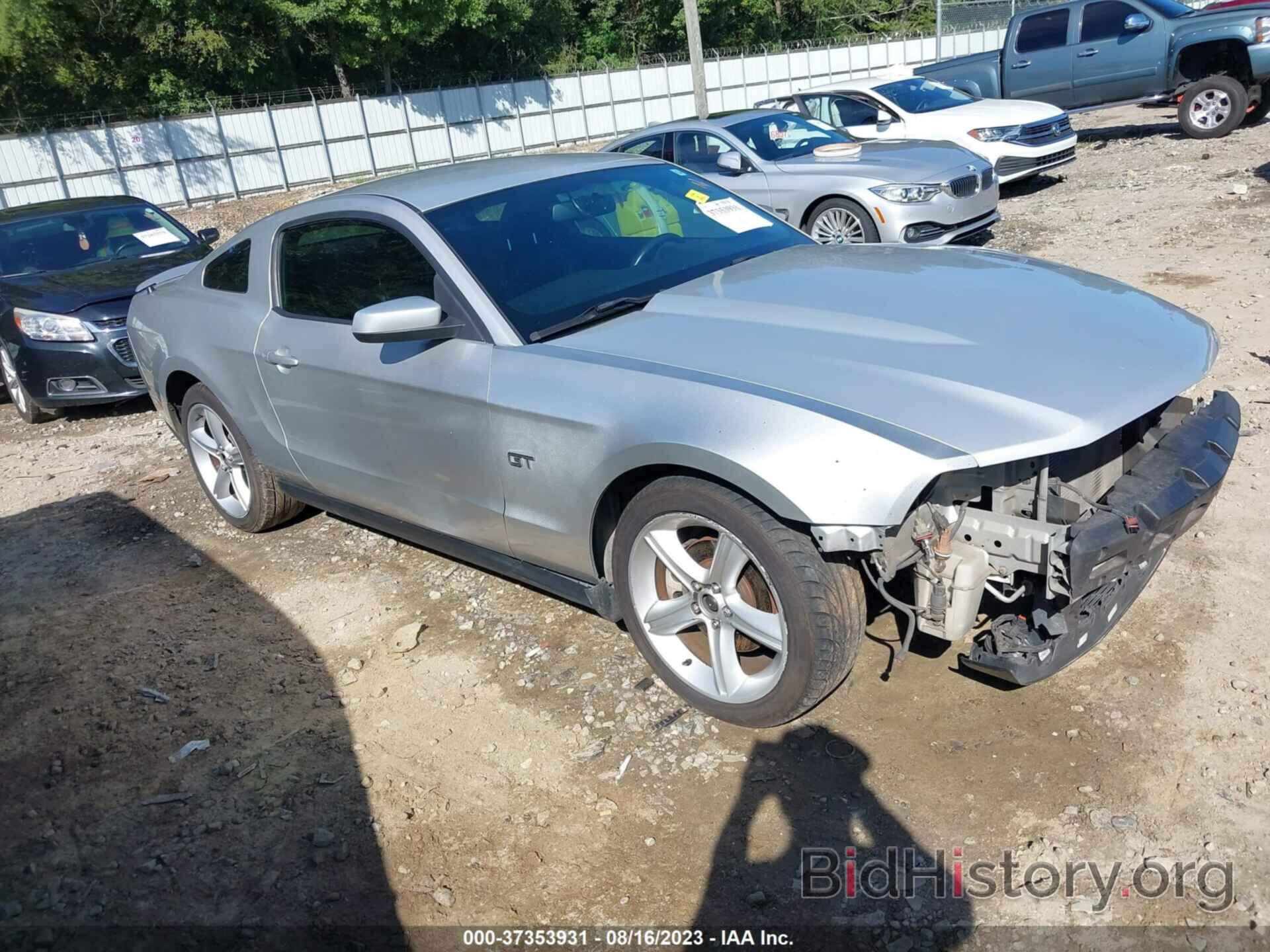 Photo 1ZVBP8CH7A5161919 - FORD MUSTANG 2010