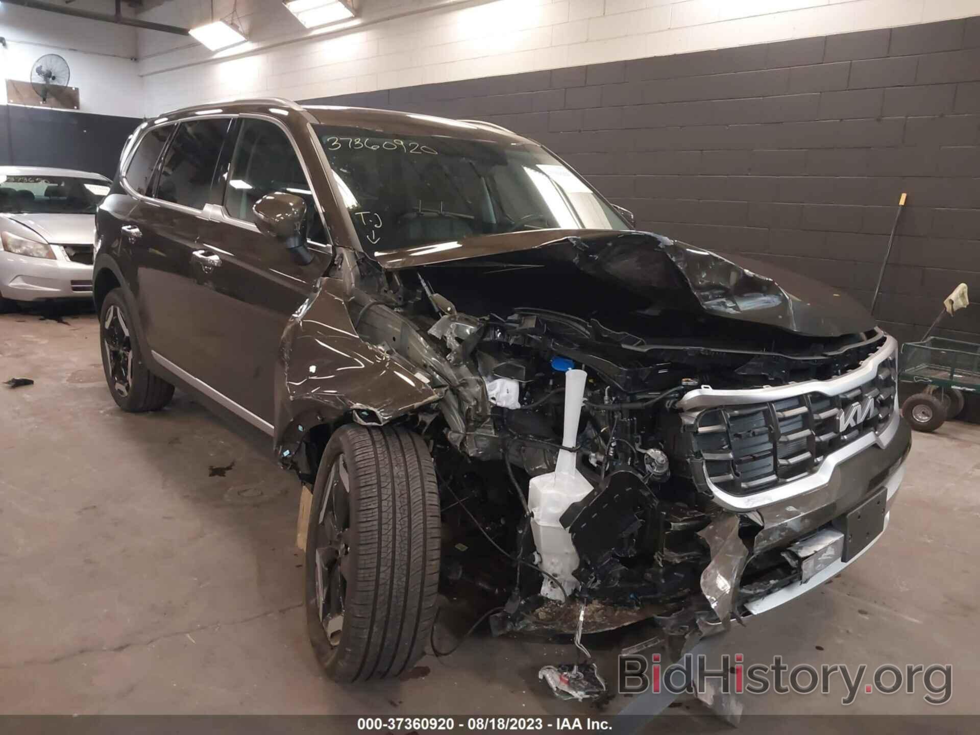 Photo 5XYP6DGC2PG363022 - KIA TELLURIDE 2023