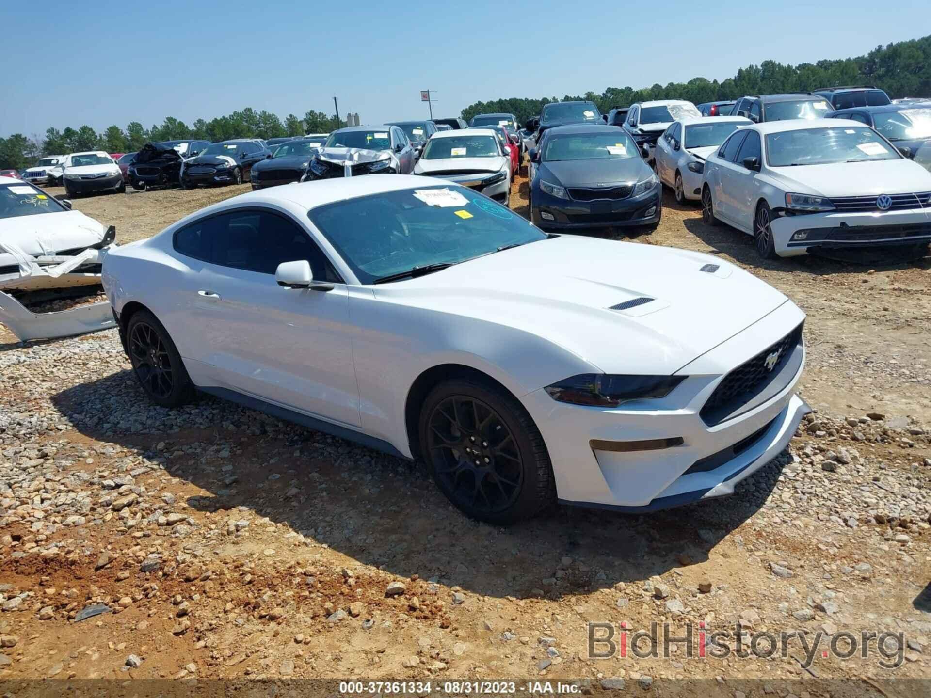 Photo 1FA6P8TH6K5173569 - FORD MUSTANG 2019