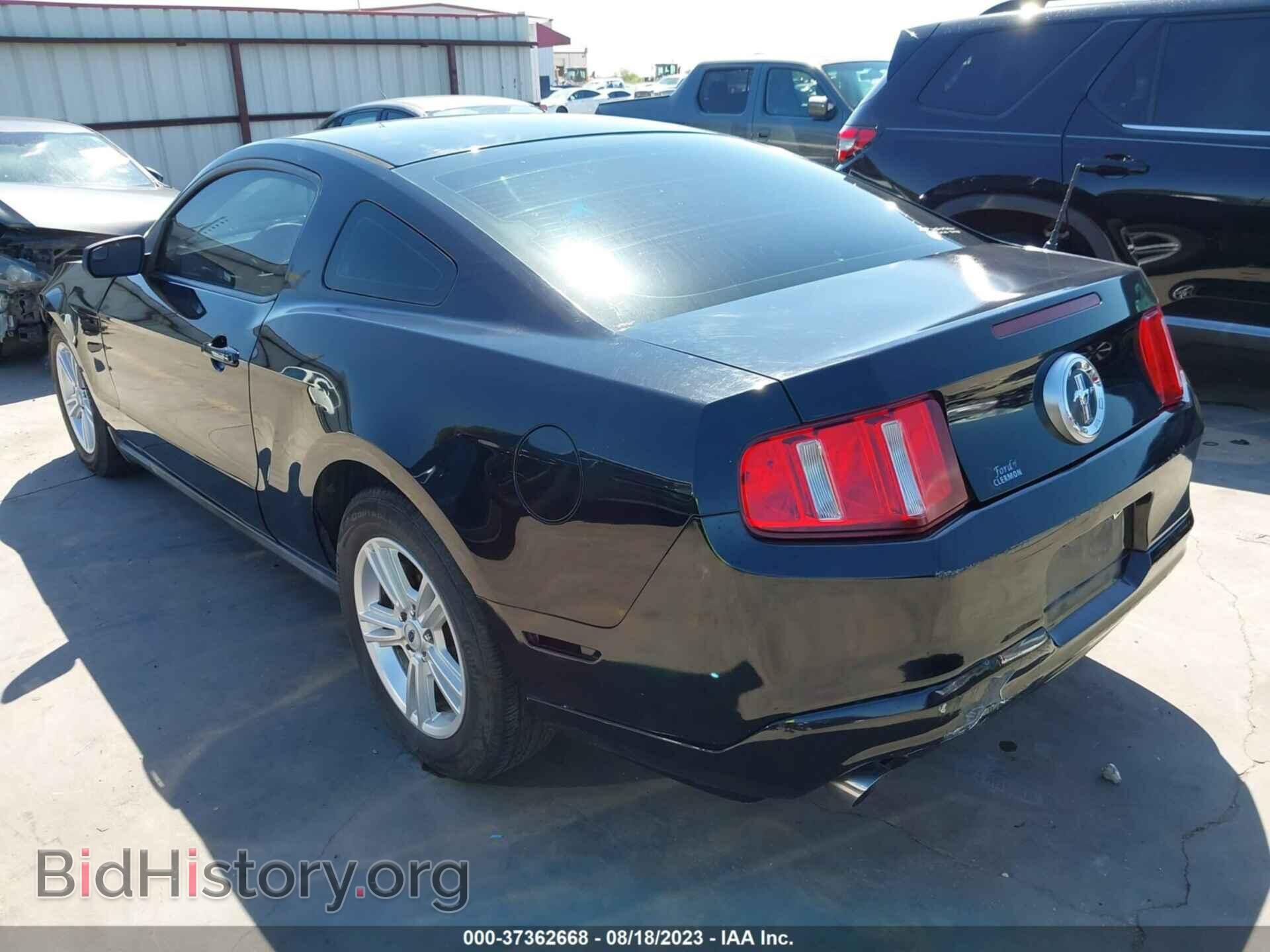 2011 FORD MUSTANG - VIN: 1ZVBP8AM2B5164566 - Фото 3