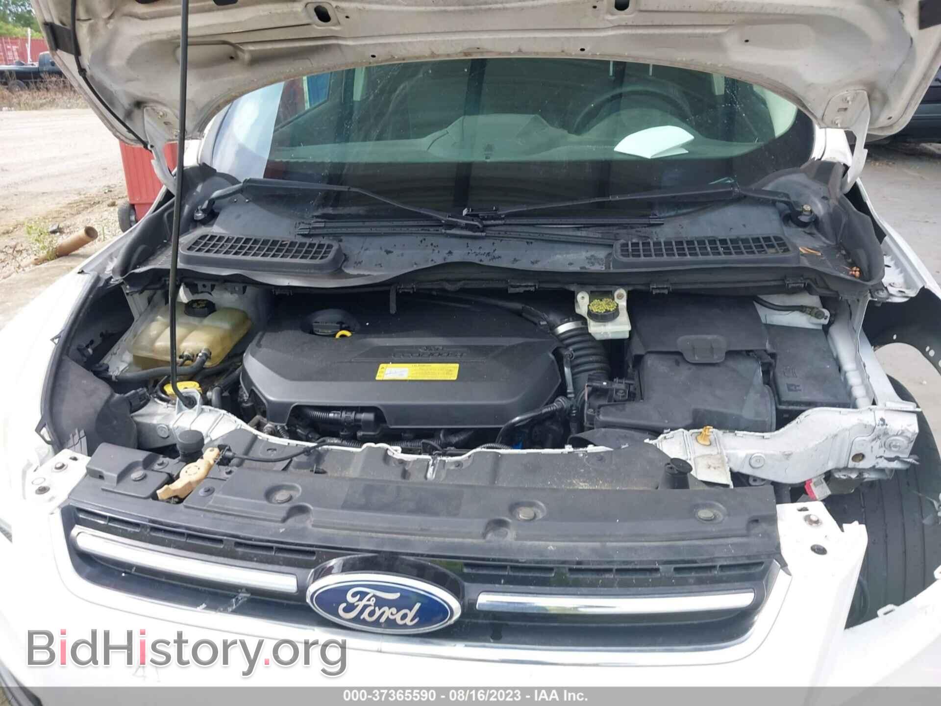 2013 FORD ESCAPE - VIN: 1FMCU0HX2DUA88403 - Фото 10