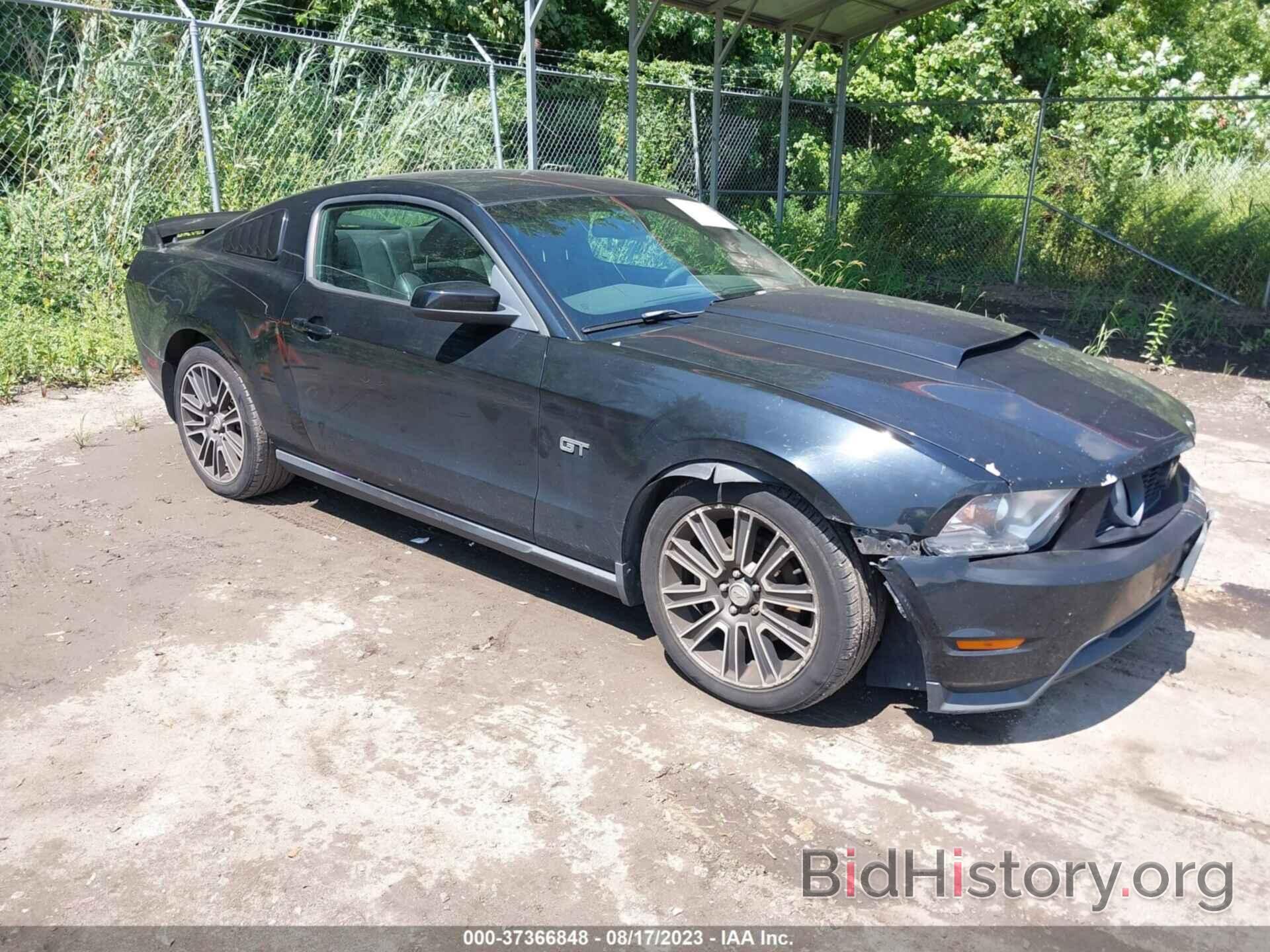 Photo 1ZVBP8CH7A5169129 - FORD MUSTANG 2010