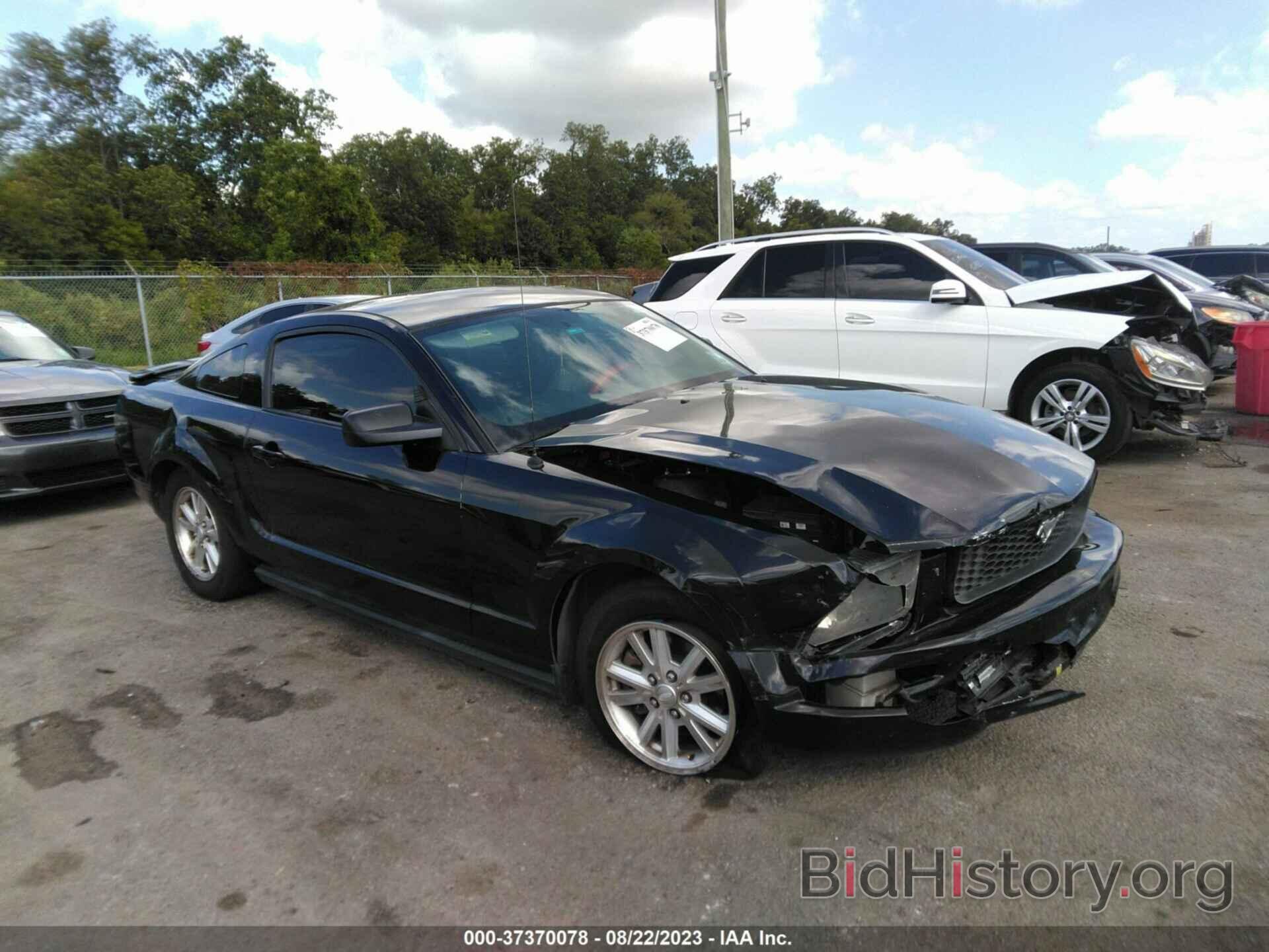 Photo 1ZVHT80N385195494 - FORD MUSTANG 2008