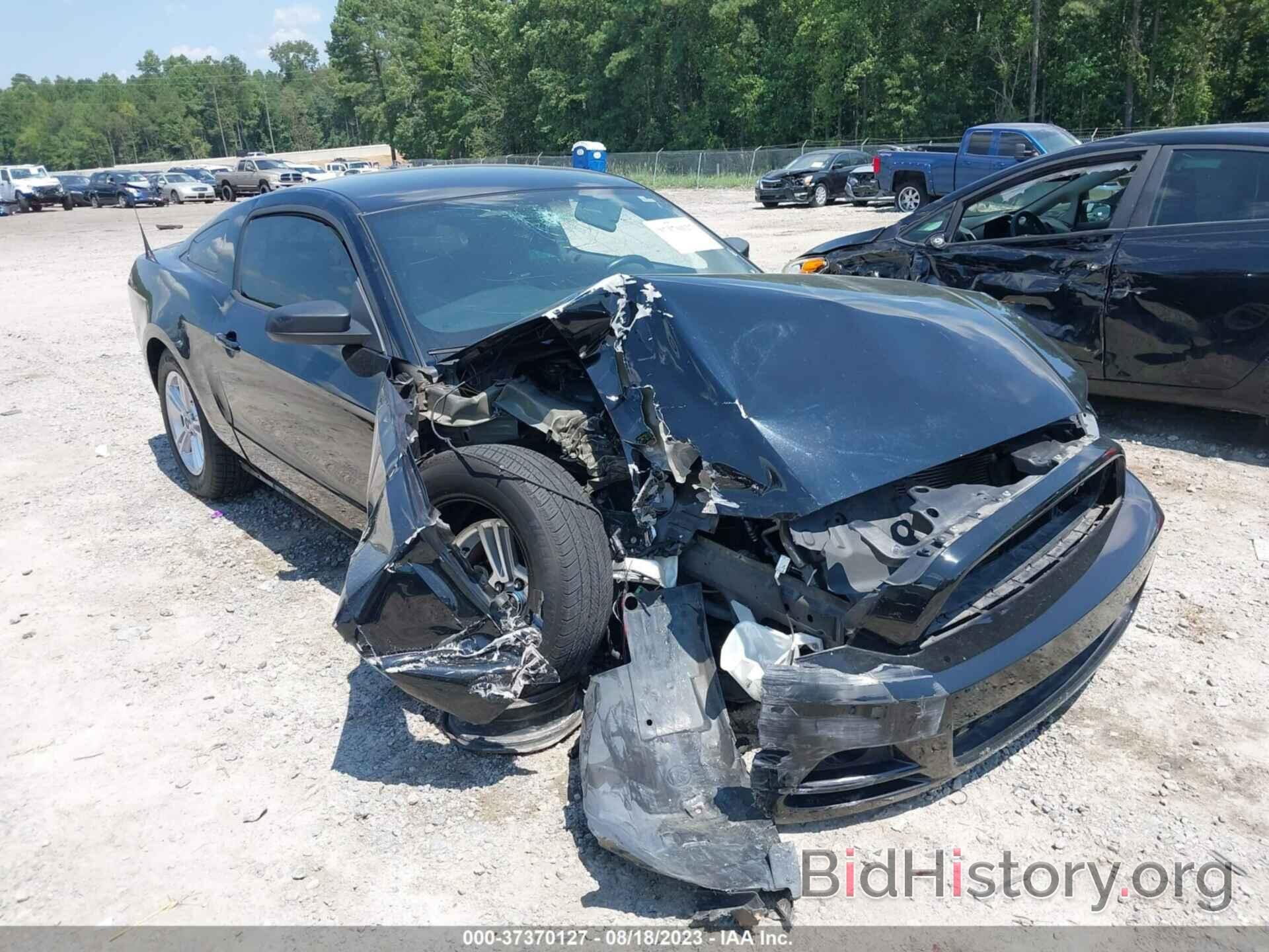 Photo 1ZVBP8AM4E5330056 - FORD MUSTANG 2014