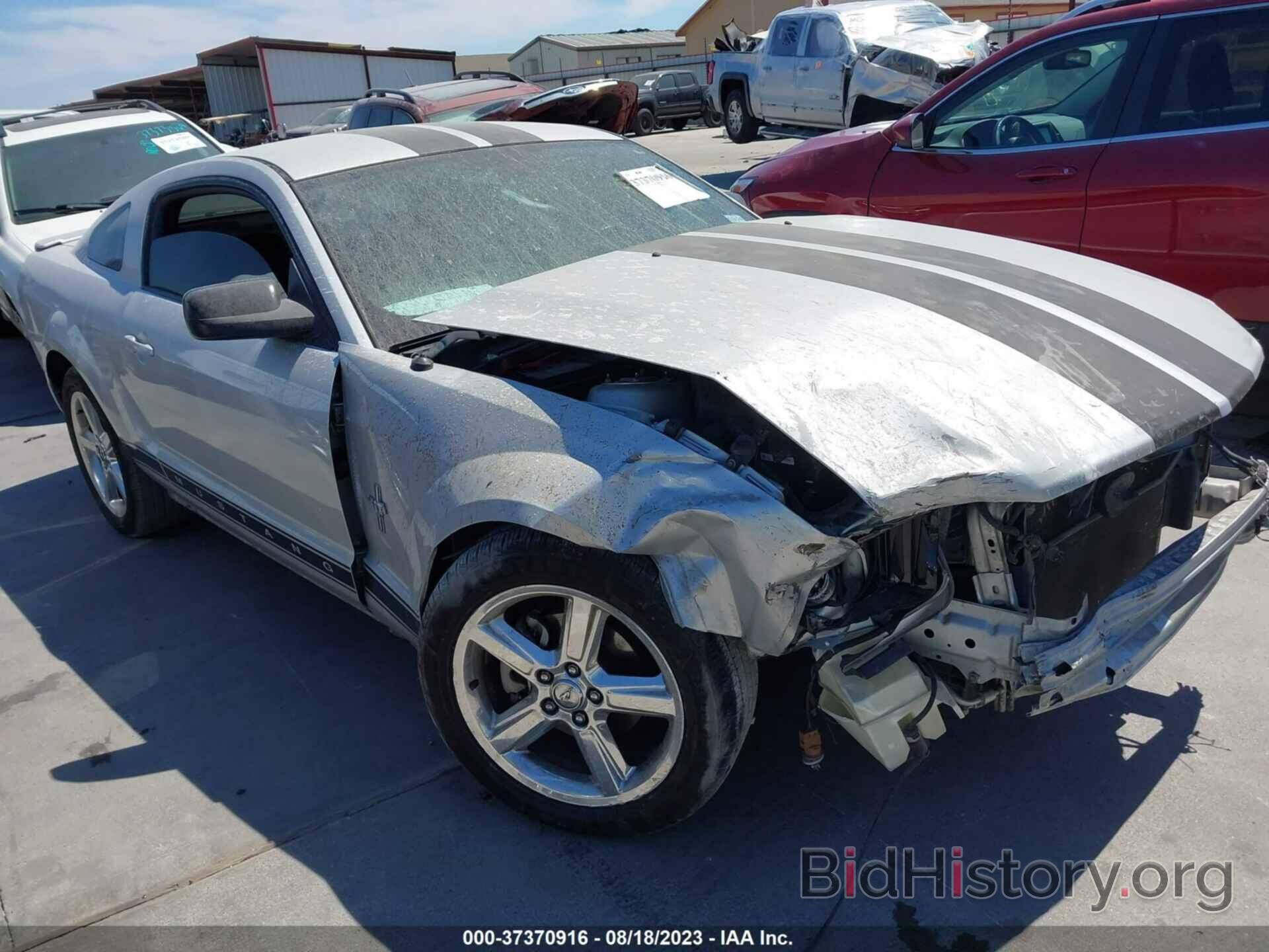 Photo 1ZVHT80N185196899 - FORD MUSTANG 2008