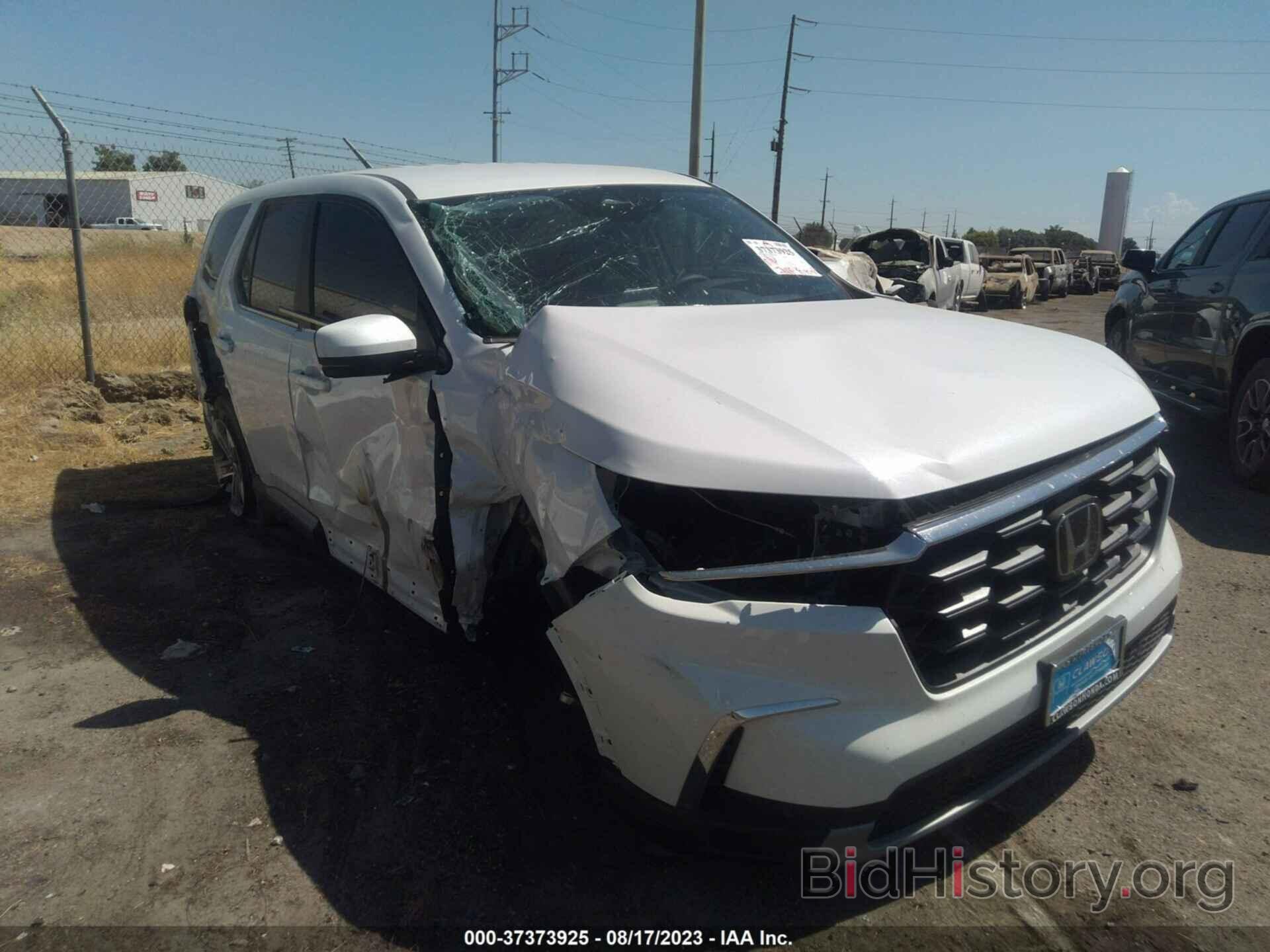 Photo 5FNYG2H4XPB010547 - HONDA PILOT 2023