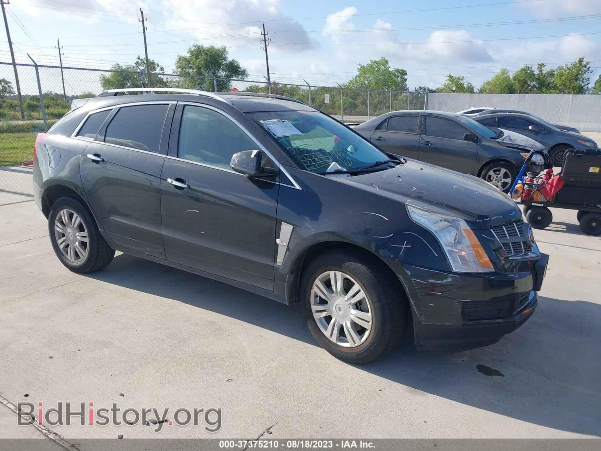 Фотография 3GYFNAE37CS511197 - CADILLAC SRX 2012