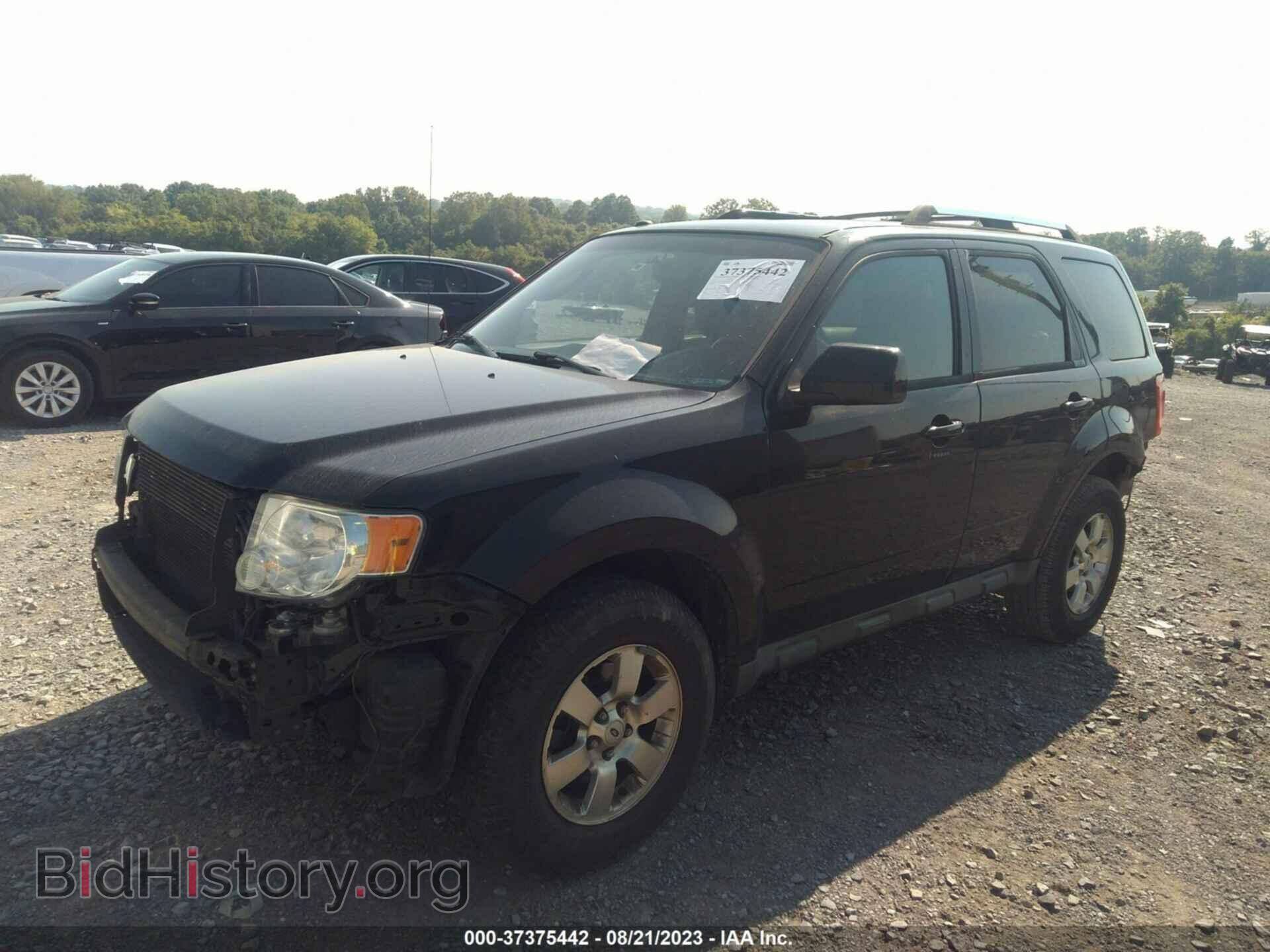 2011 FORD ESCAPE - VIN: 1FMCU0E74BKB27568 - Фото 2