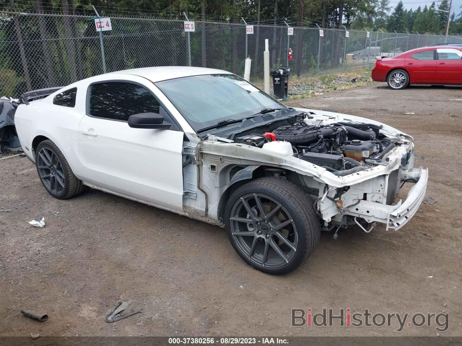 Photo 1ZVBP8AM4C5207340 - FORD MUSTANG 2012