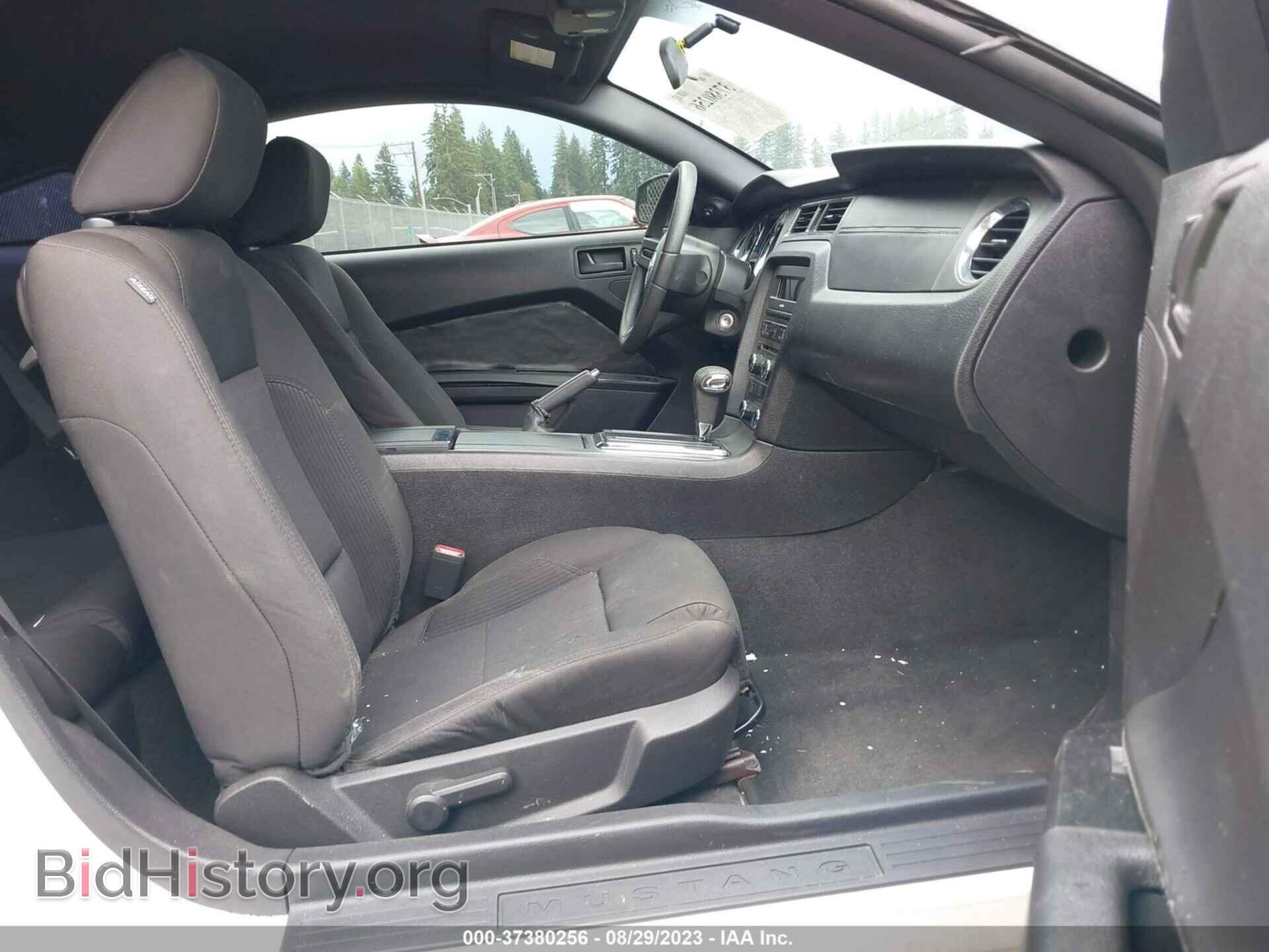 2012 FORD MUSTANG - VIN: 1ZVBP8AM4C5207340 - Фото 5