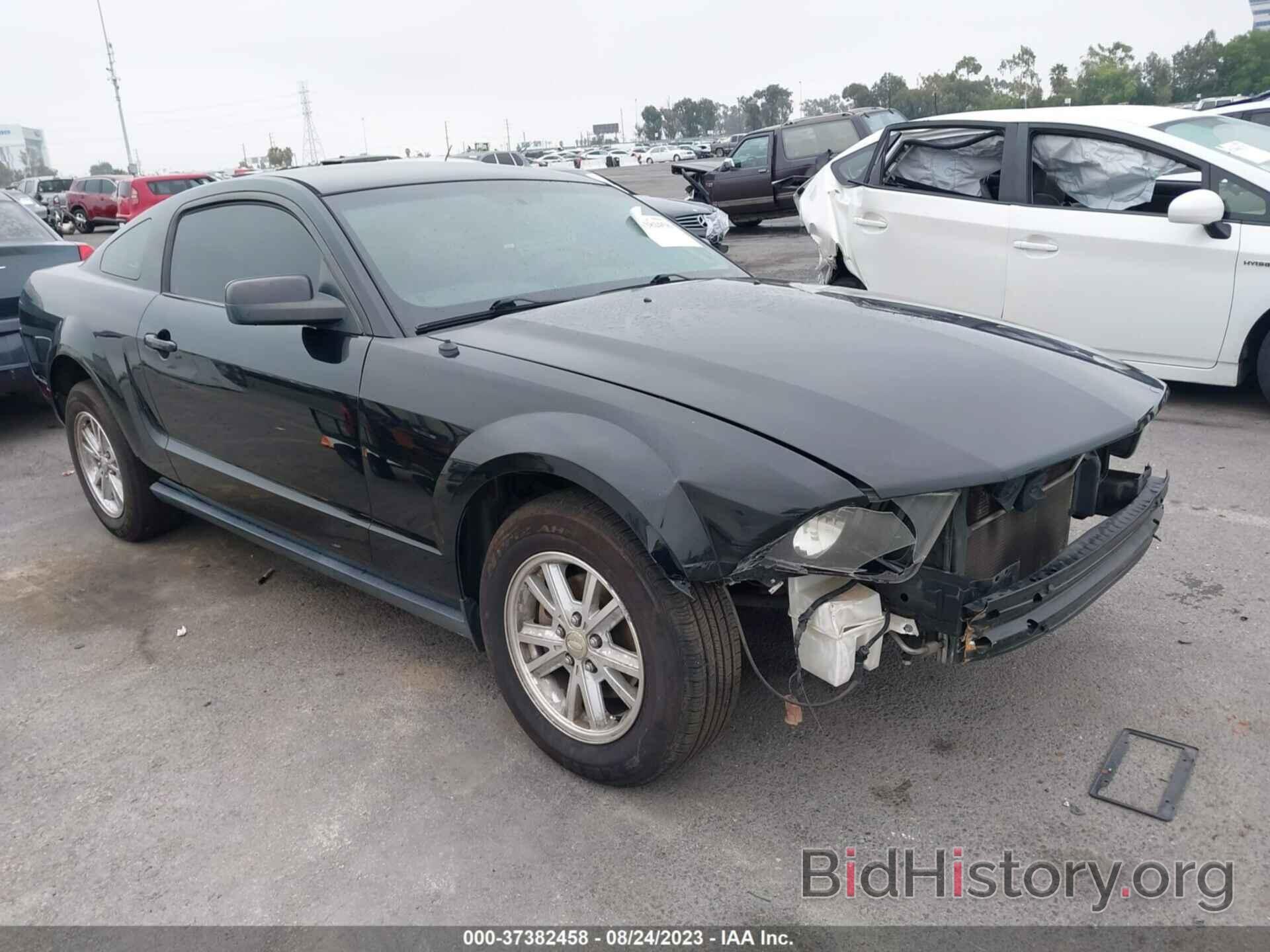 Photo 1ZVHT80N085110899 - FORD MUSTANG 2008
