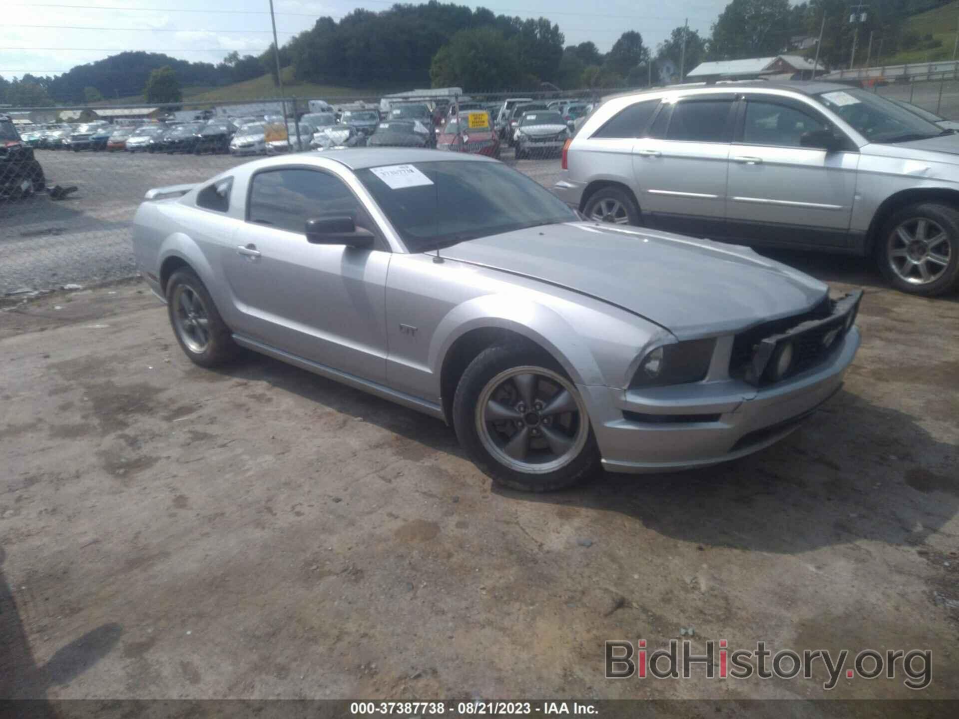 Photo 1ZVHT82H365188470 - FORD MUSTANG 2006