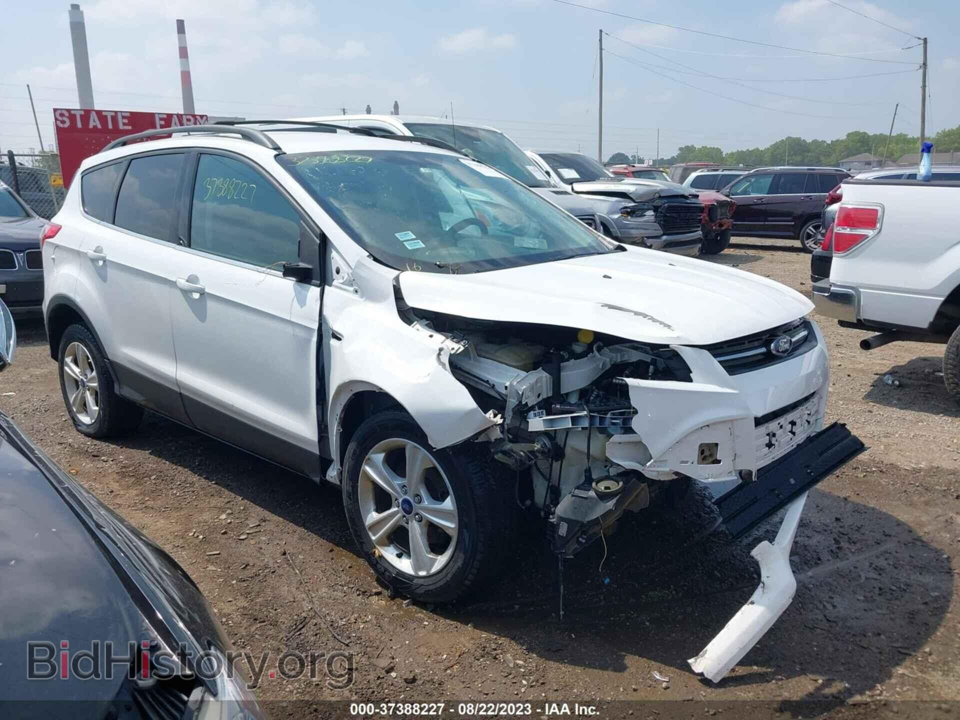 Фотография 1FMCU0GXXDUB25456 - FORD ESCAPE 2013